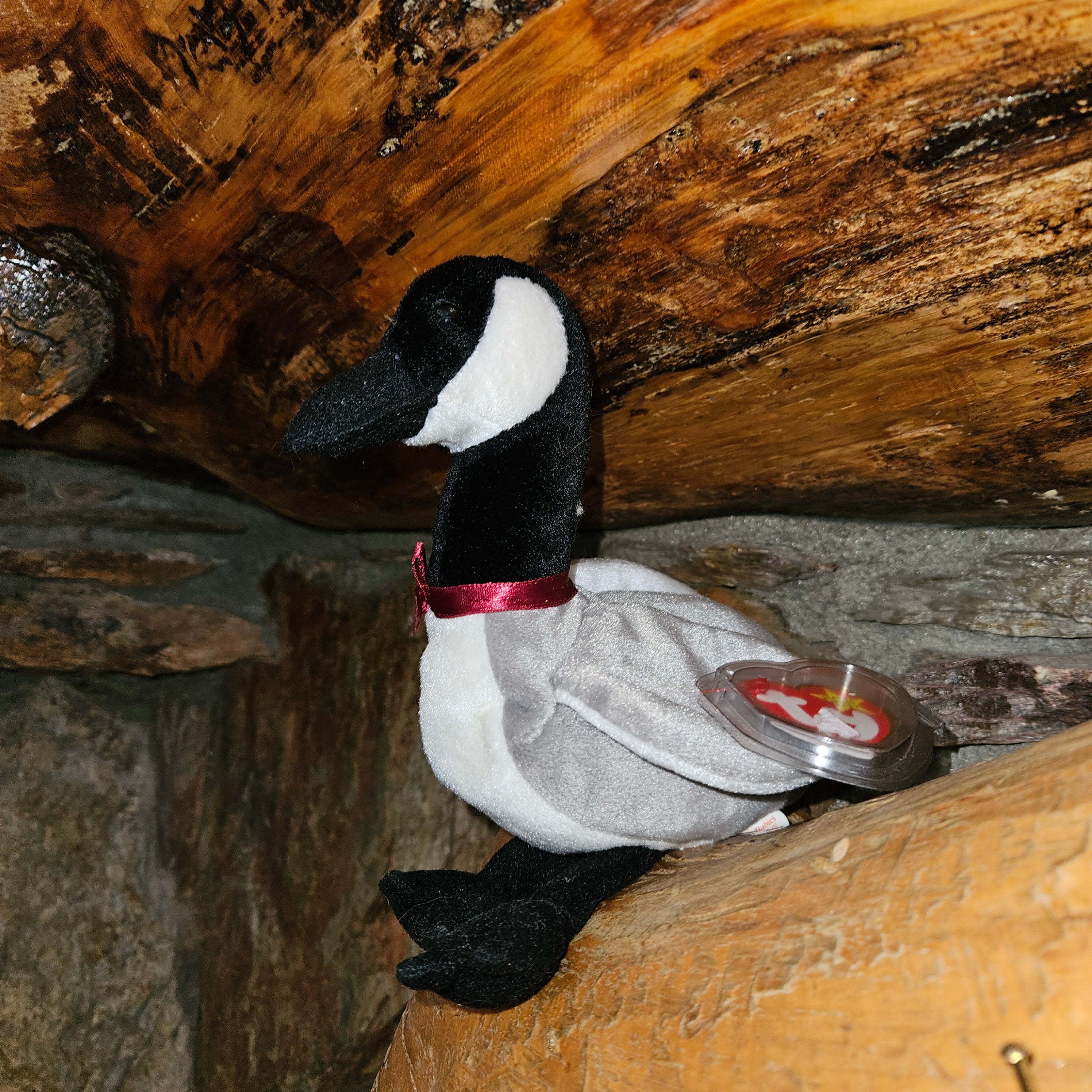 Ty Beanie Babies "Loosy the Goose"