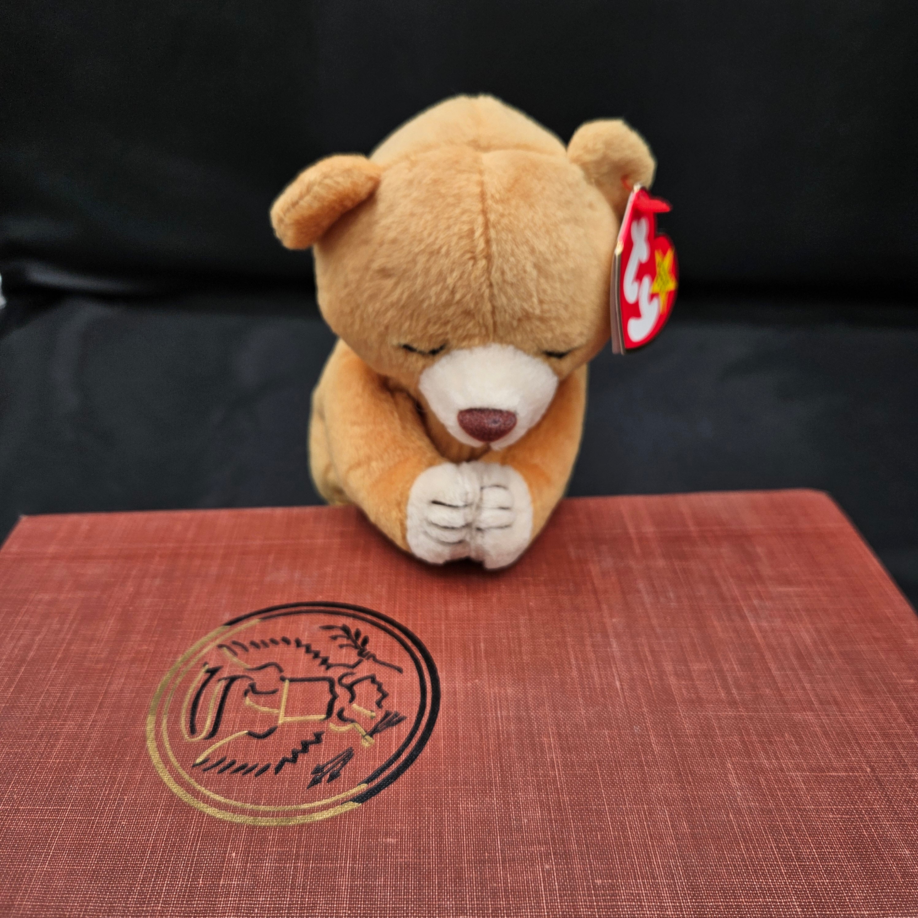 Ty Beanie Babies "Hope the Bear"