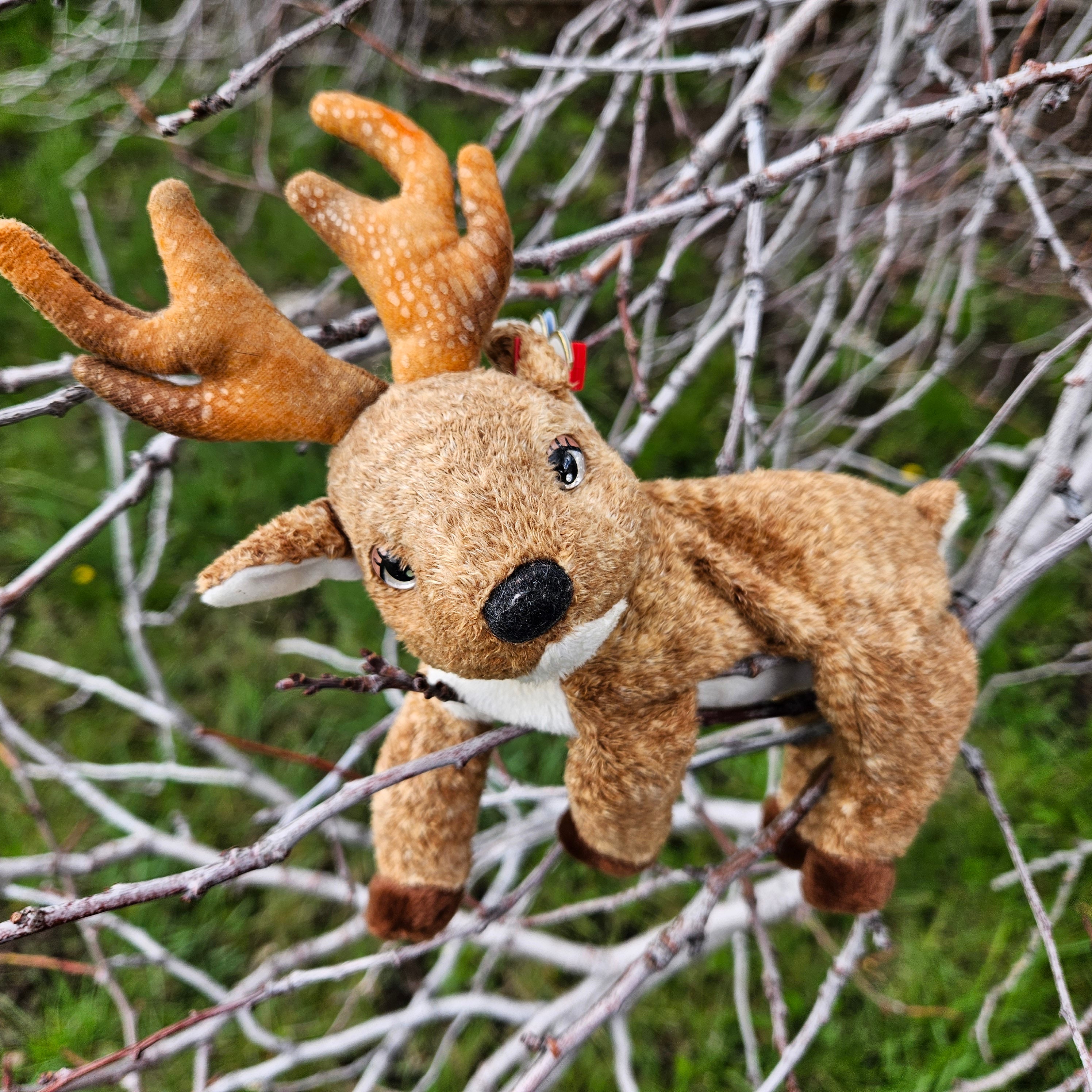 Ty Beanie Babies "Roxie the Reindeer"