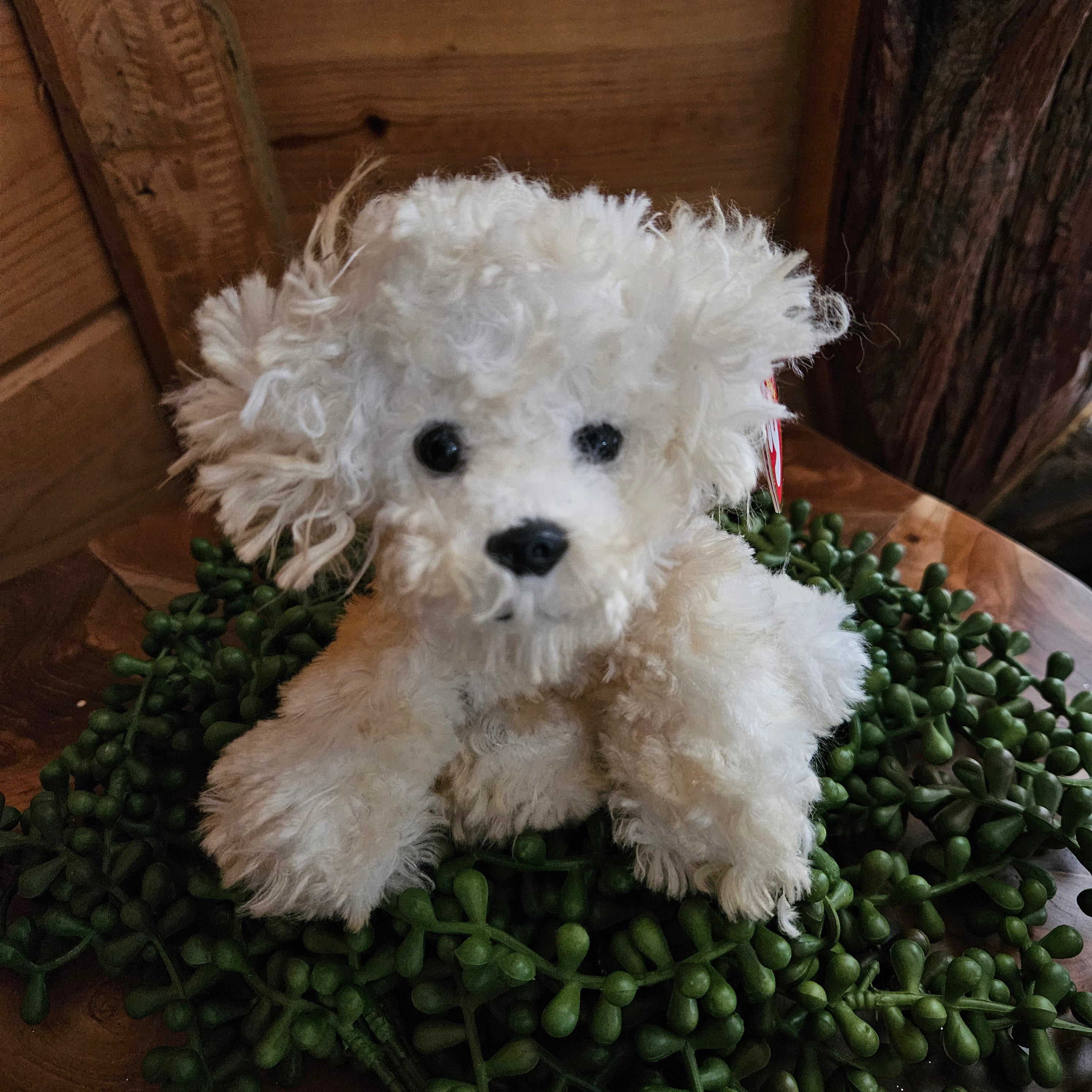 Ty Beanie Baby 'Lollipup the Dog' with white fur, black eyes, and a black nose