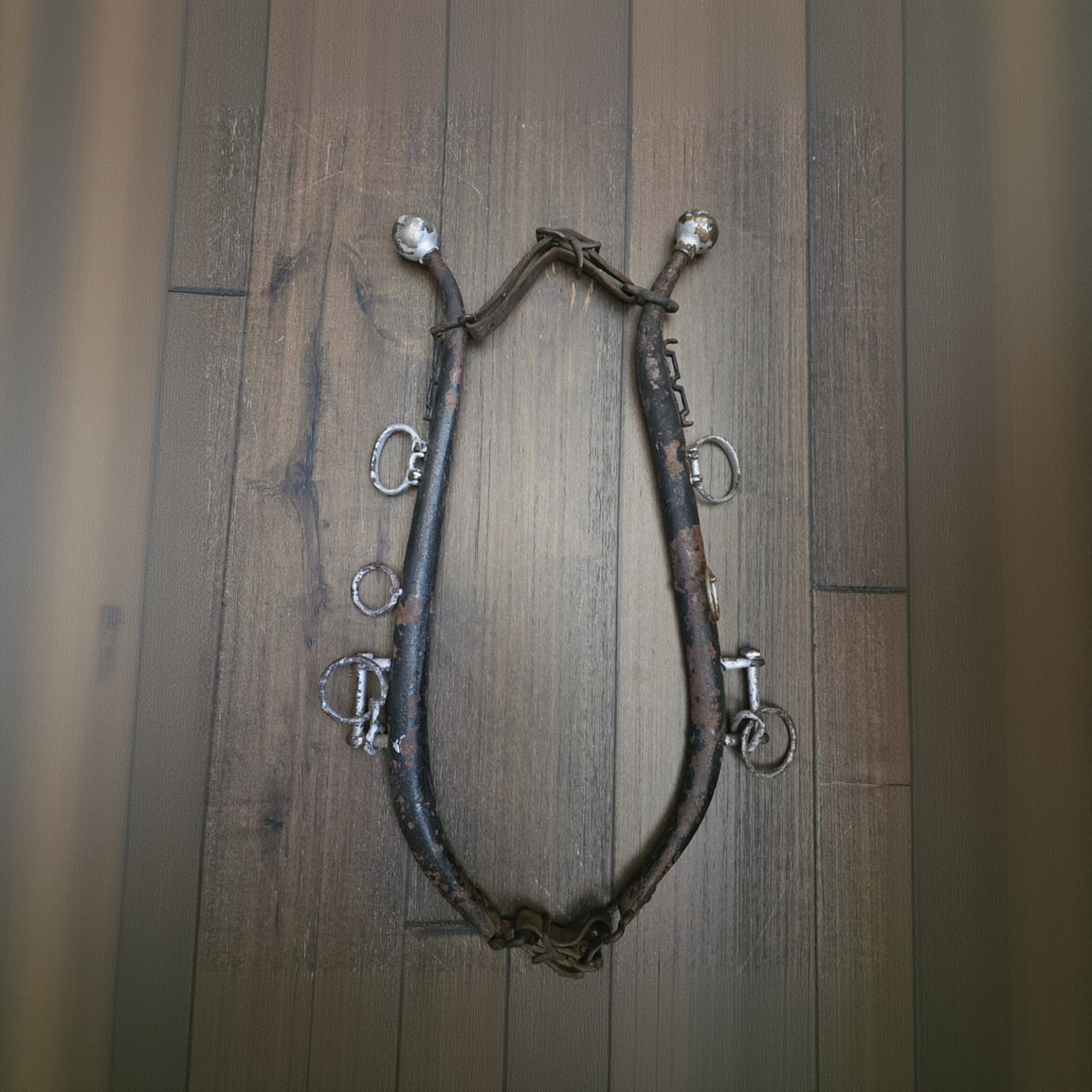 Rustic horse bridle