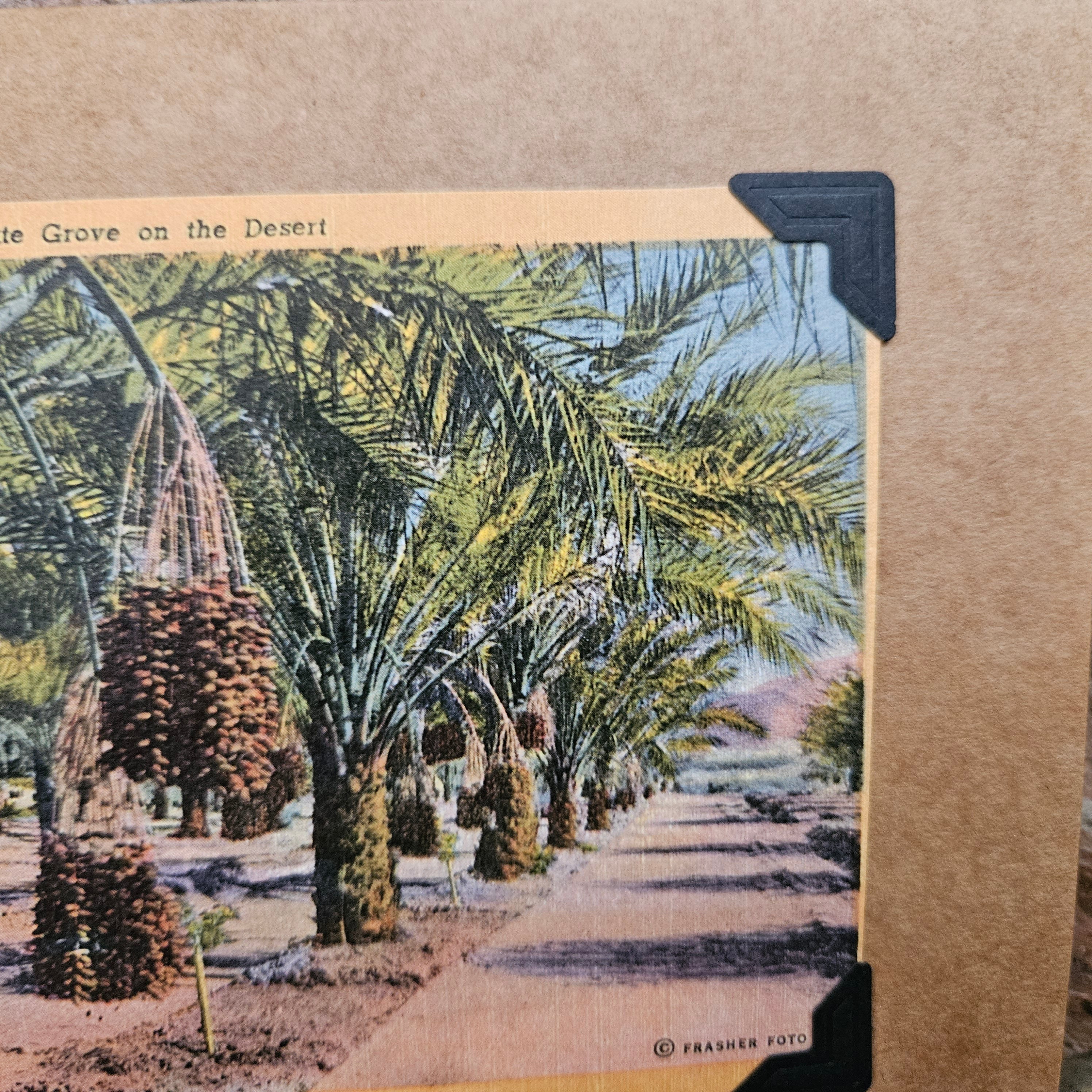 Beautifully Hand Crafted Custom Created Greeting Card Series by Diane Stegman "A Date Grove in the Desert "