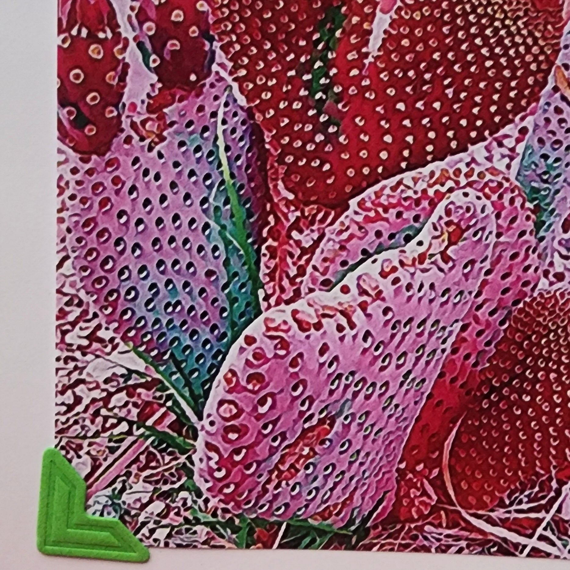 Beautifully Hand Crafted Custom Created Greeting Card Series by Diane Stegman "Heart Shaped Cactus"