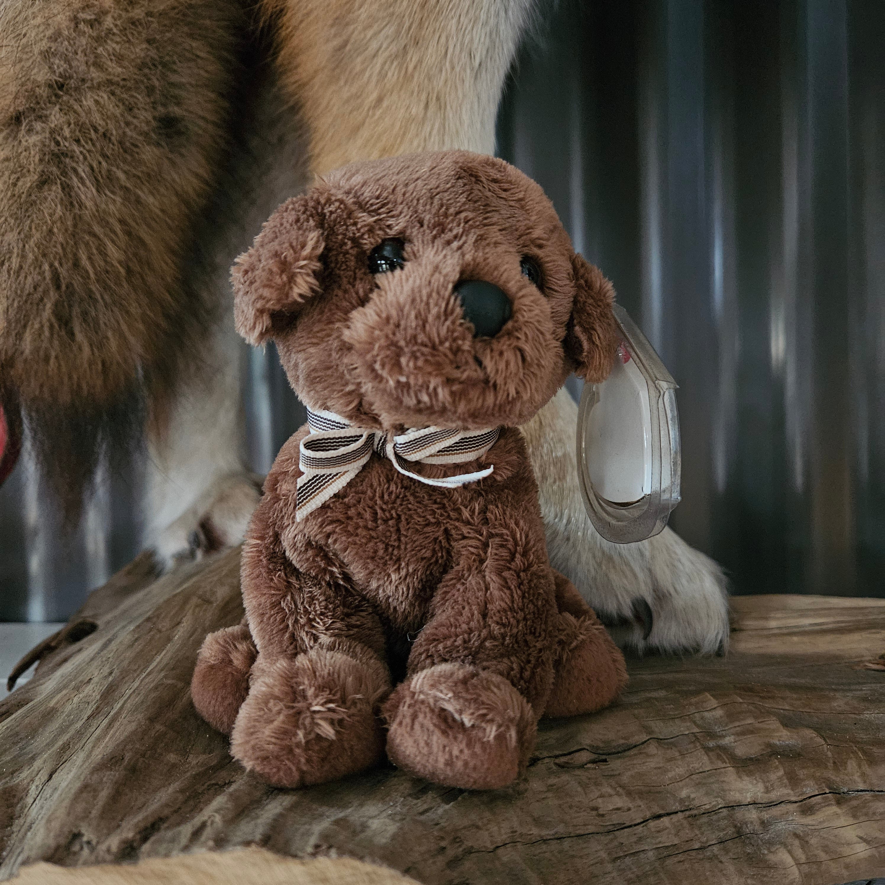 Ty Beanie Babies "Diggidy the Dog"