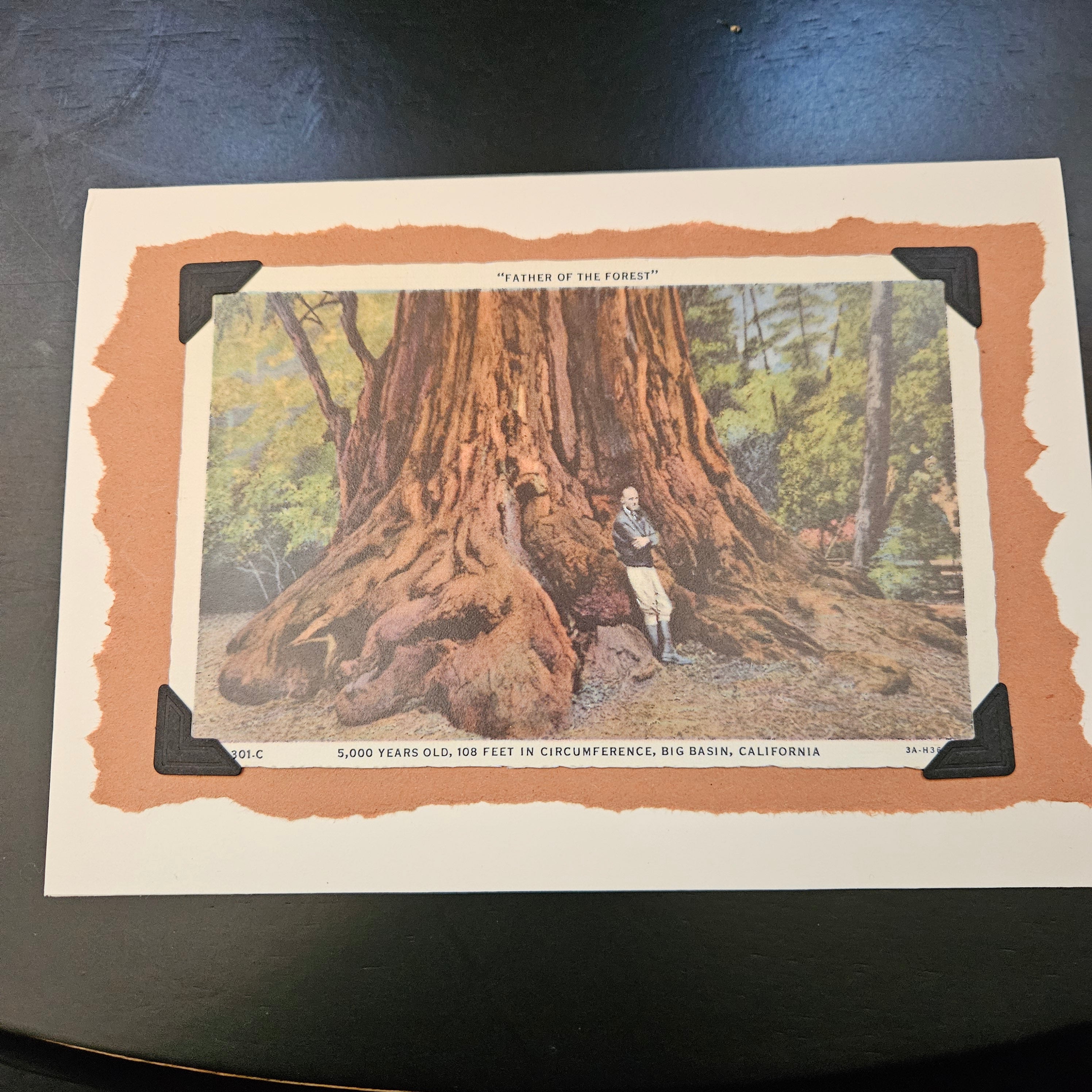 Beautifully Hand Crafted Custom Created Greeting Card Series by Diane Stegman "Father of the Forest"