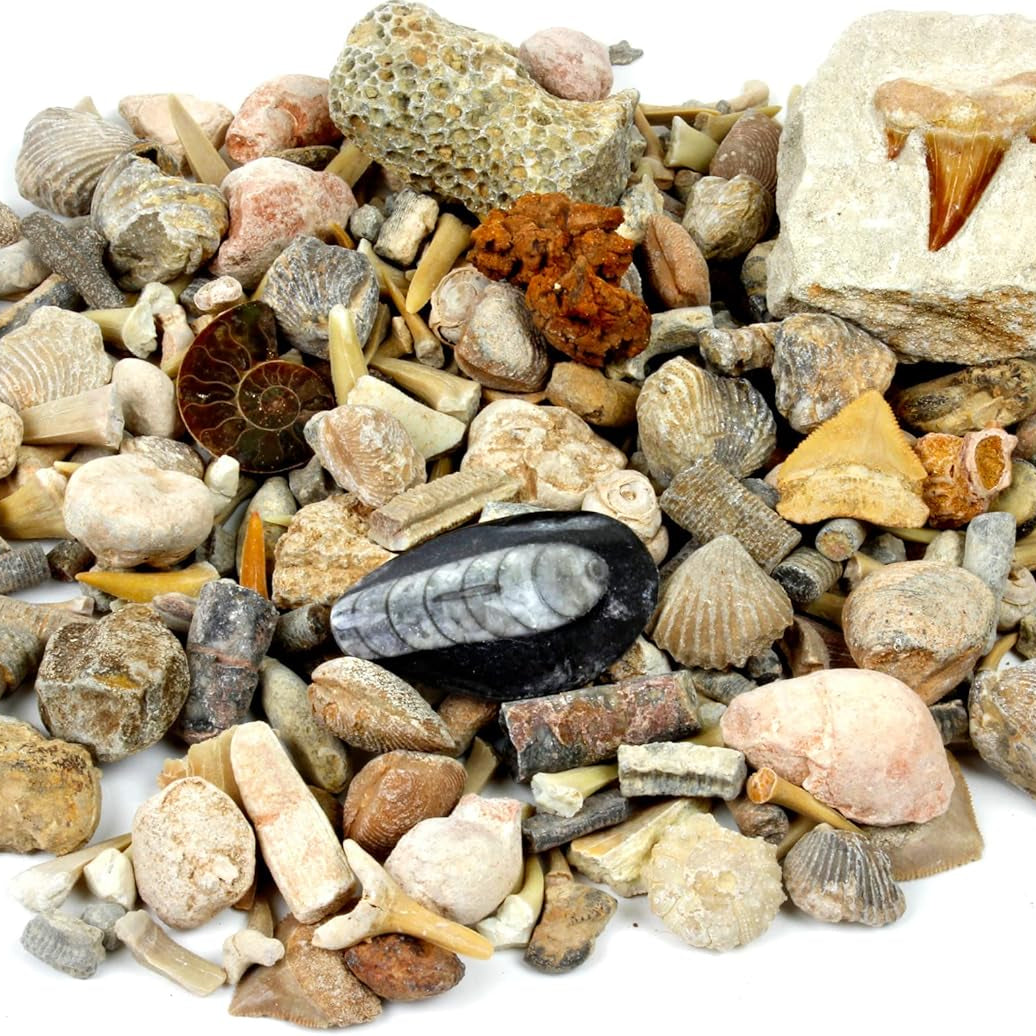 Jumbo Geodes Find Crystal Treasure. 2 Premium Geodes