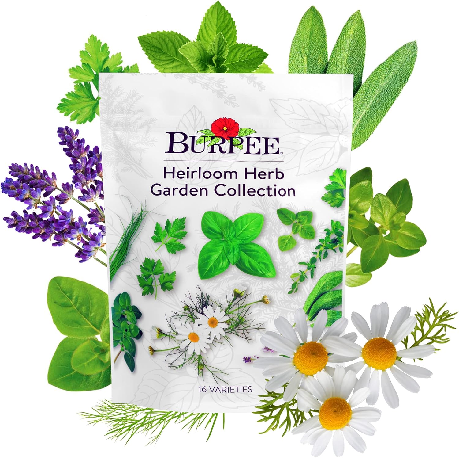 Burpee Heirloom Herb Garden Collection