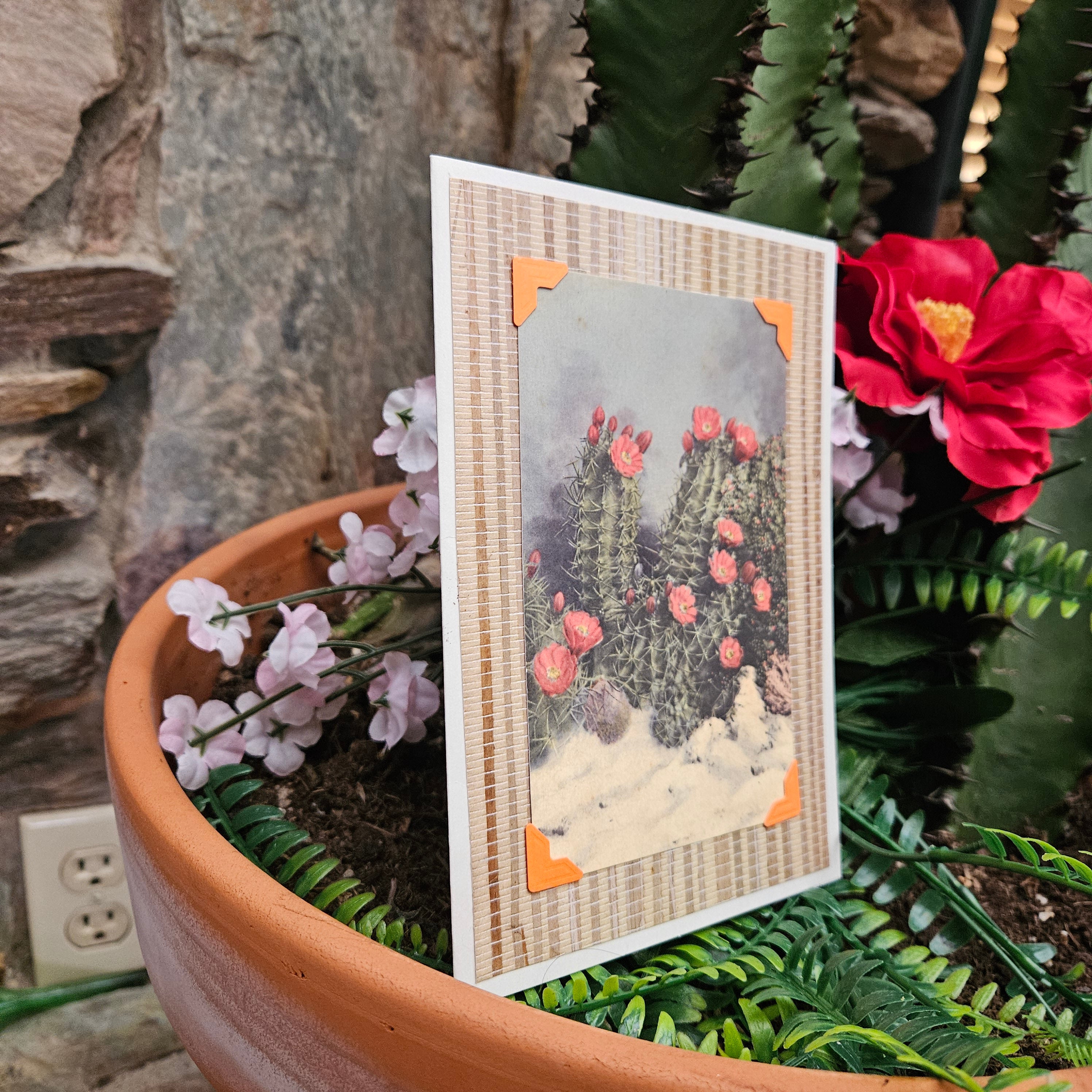 Beautifully Hand Crafted Custom Created Greeting Card Series by Diane Stegman "Flowering White Sands Cactus"