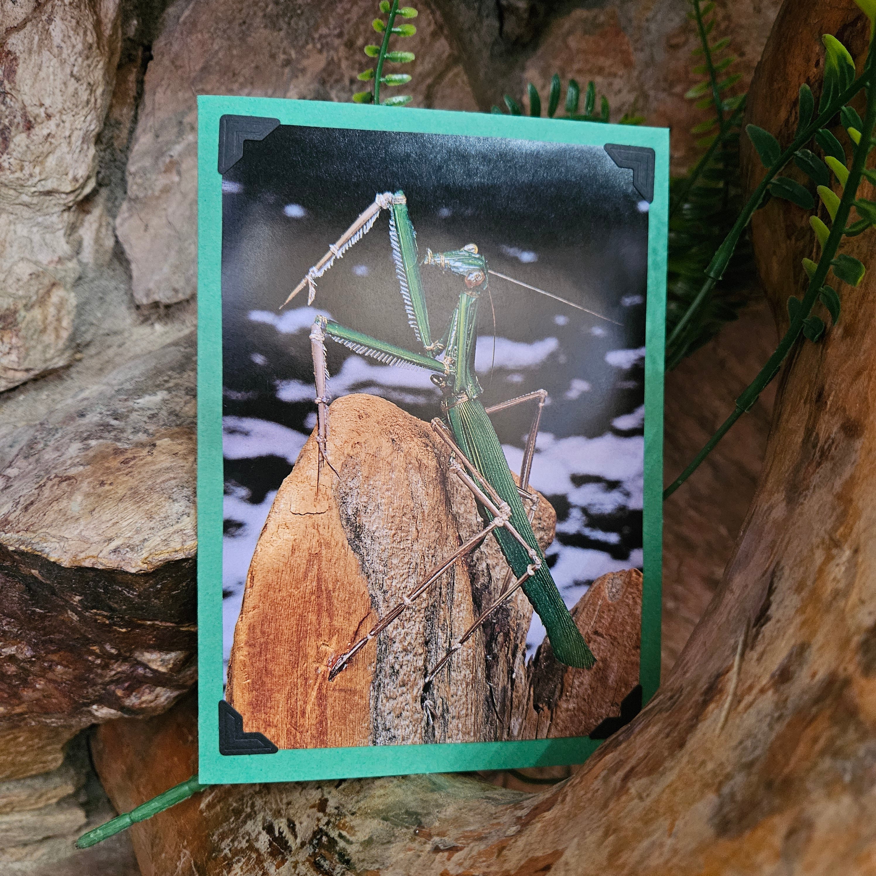 A greeting card featuring a handcrafted image of a praying mantis on a rock, with a green border and envelope in the background.