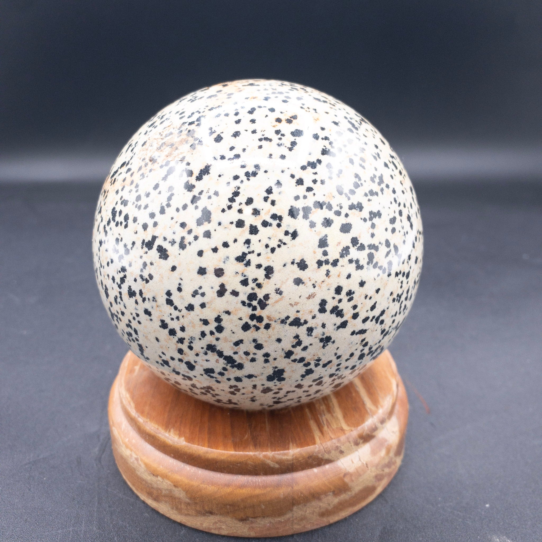 Genuine Polished Dalmatian Jasper Sphere