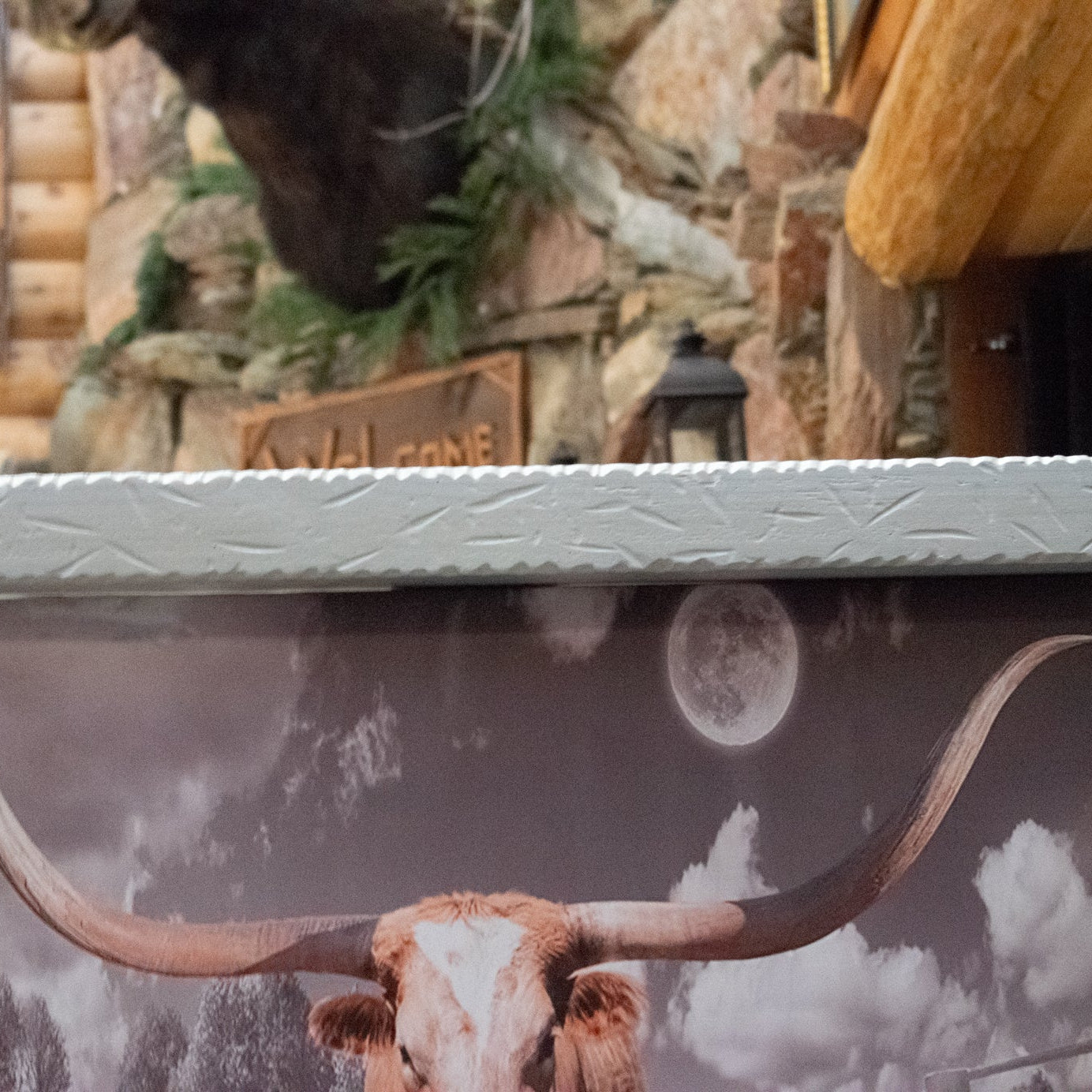 Western Longhorn Framed Wall Art 12x16 Rustic Farmhouse Cow Print White Wood Frame