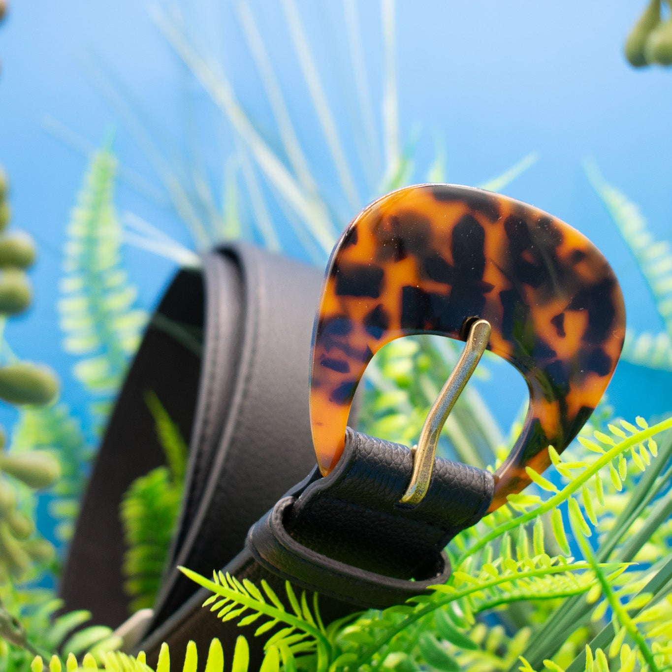Thelma Tortoise Buckle with Black Leather