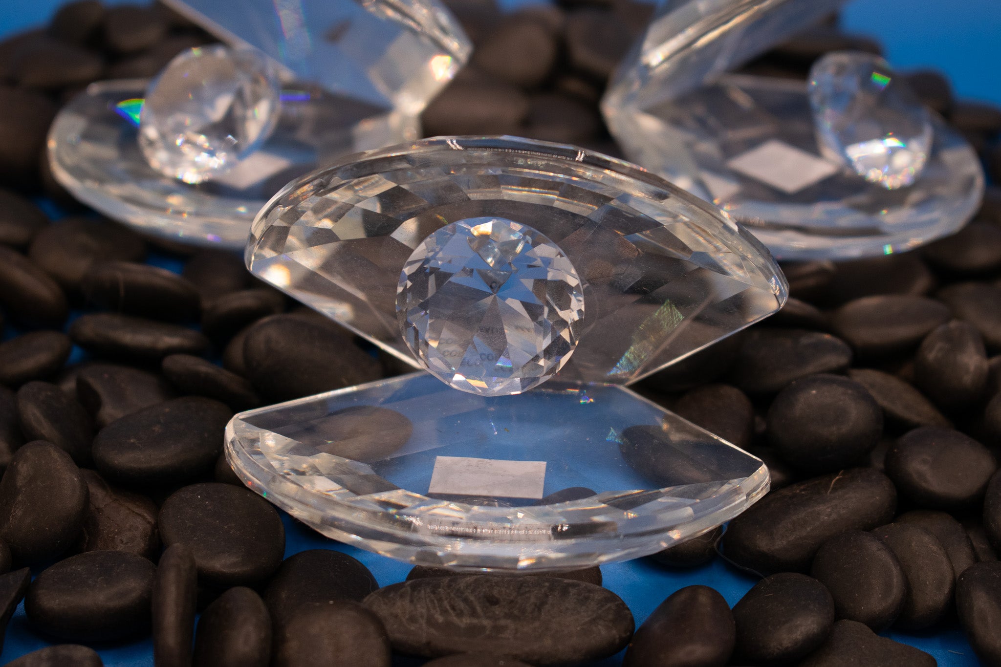 Diamond Clam & Pearl Home Décor Accent