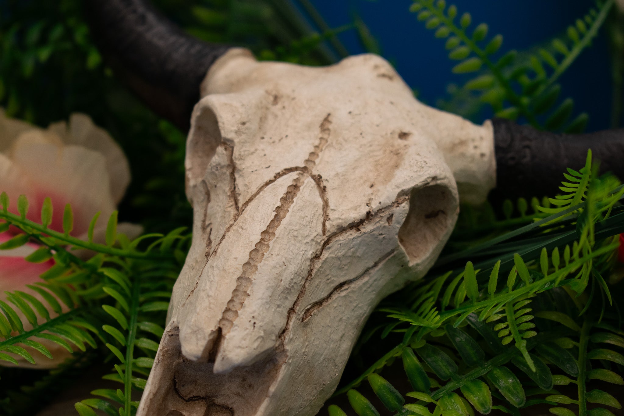 Cow Skull Head Wall Art Sculpture Decoration