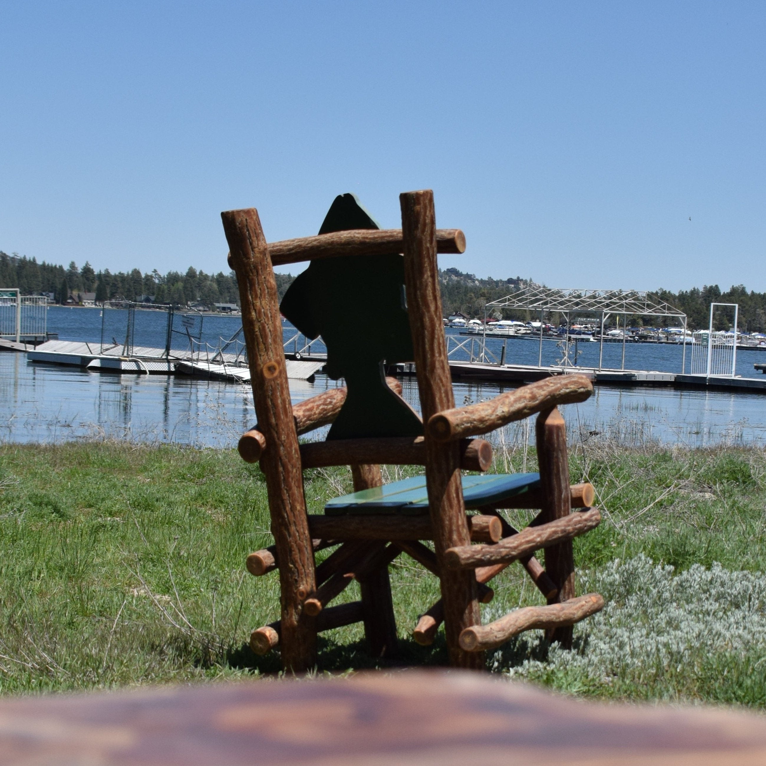 Natural Log Chair with a Rainbow Trout Back