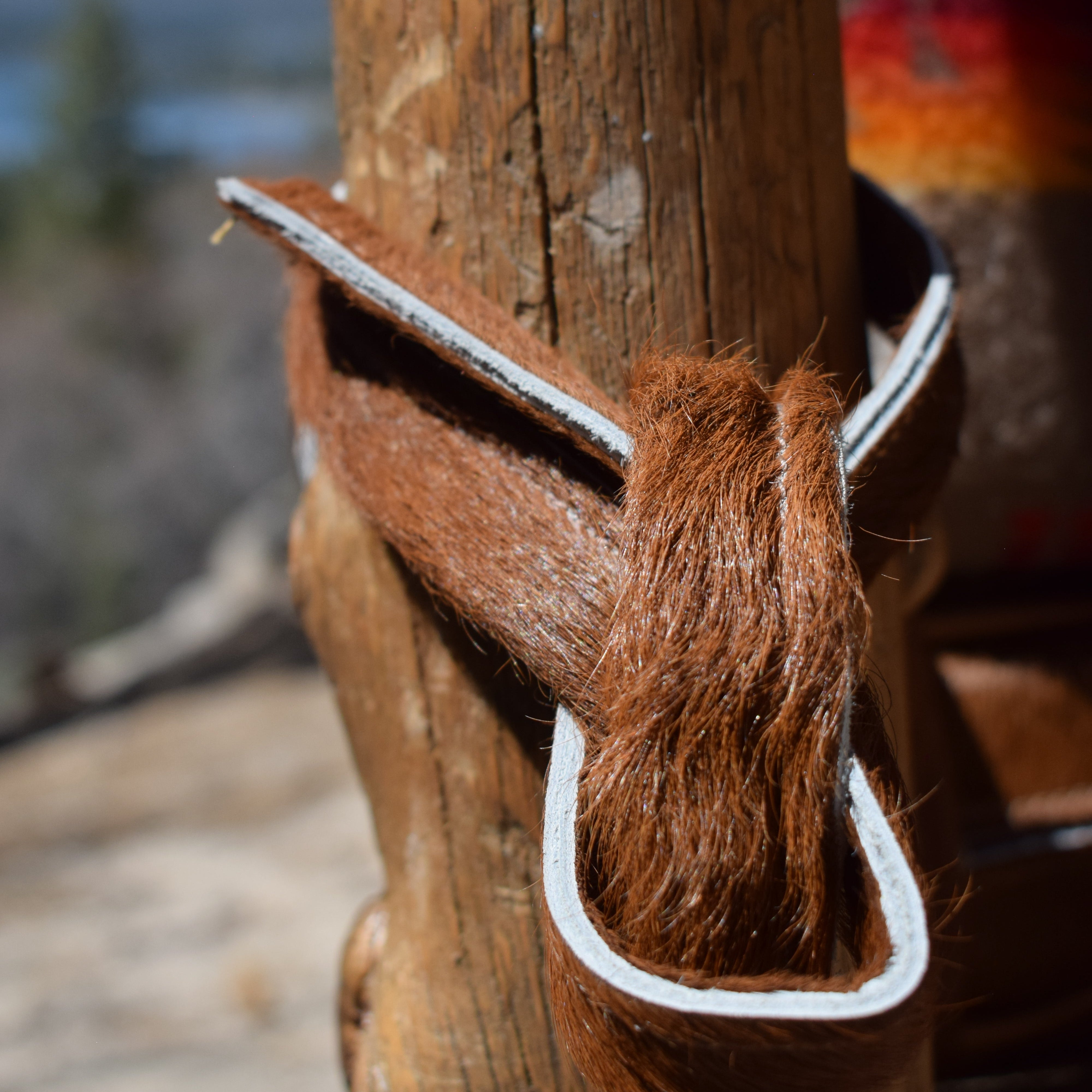 Rustic Knots And Gnarled Pine Log Chair