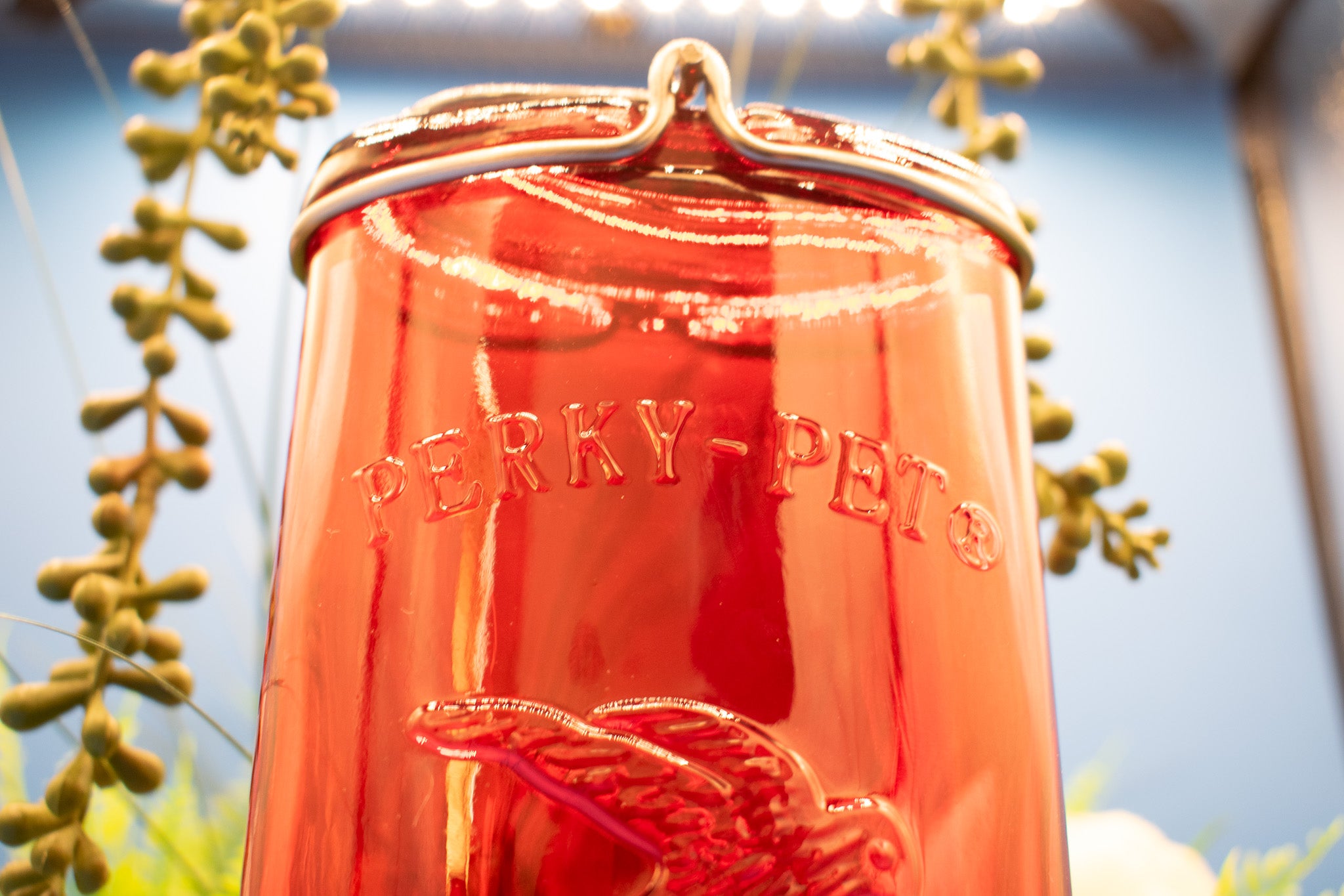Red Antique Decorative Glass Hummingbird Feeder - 16 Oz. Capacity
