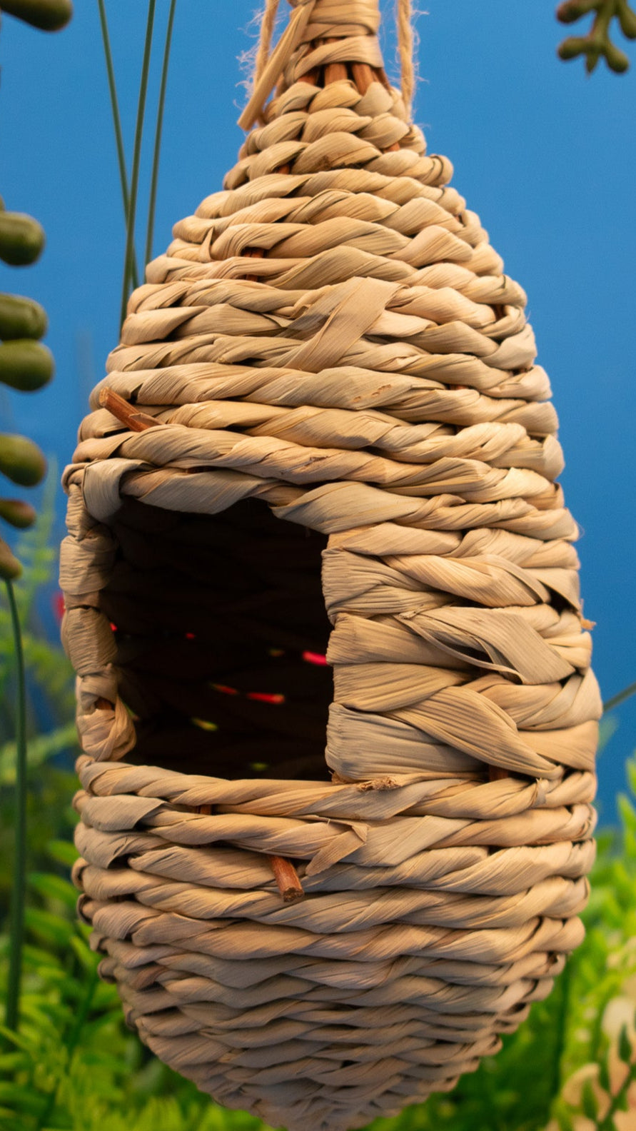 WINFUN Hanging Humming Bird House