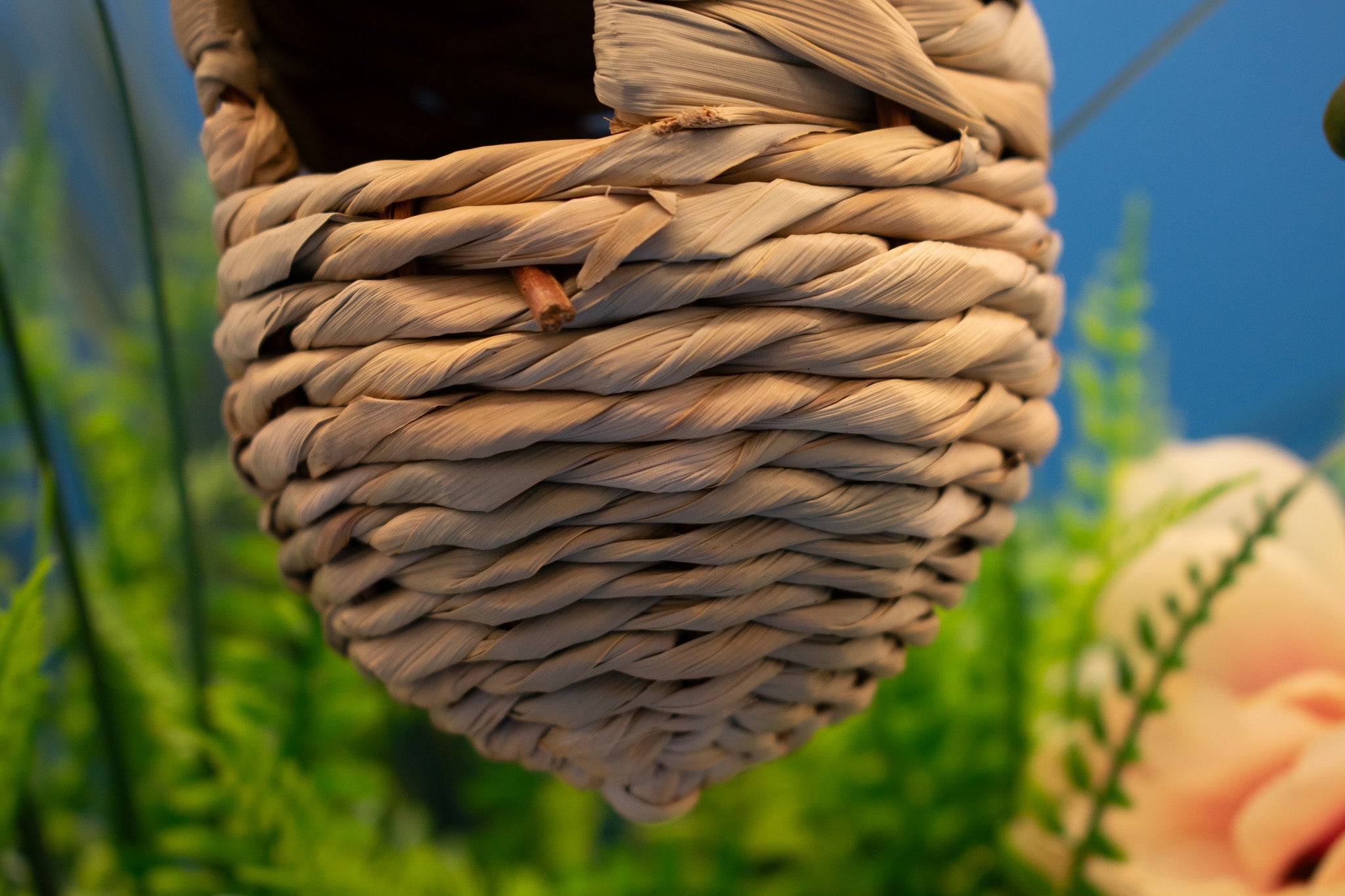 WINFUN Hanging Humming Bird House