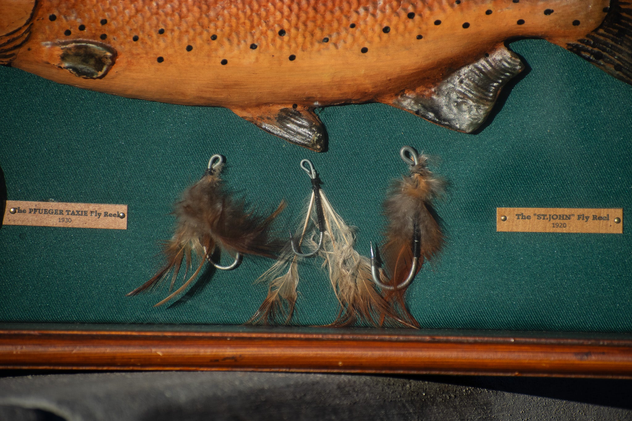 Rainbow Trout Fishing Shadow Box Display with Vintage Reels, Fly Lures & Educational Species Plaques – 20" x 11"