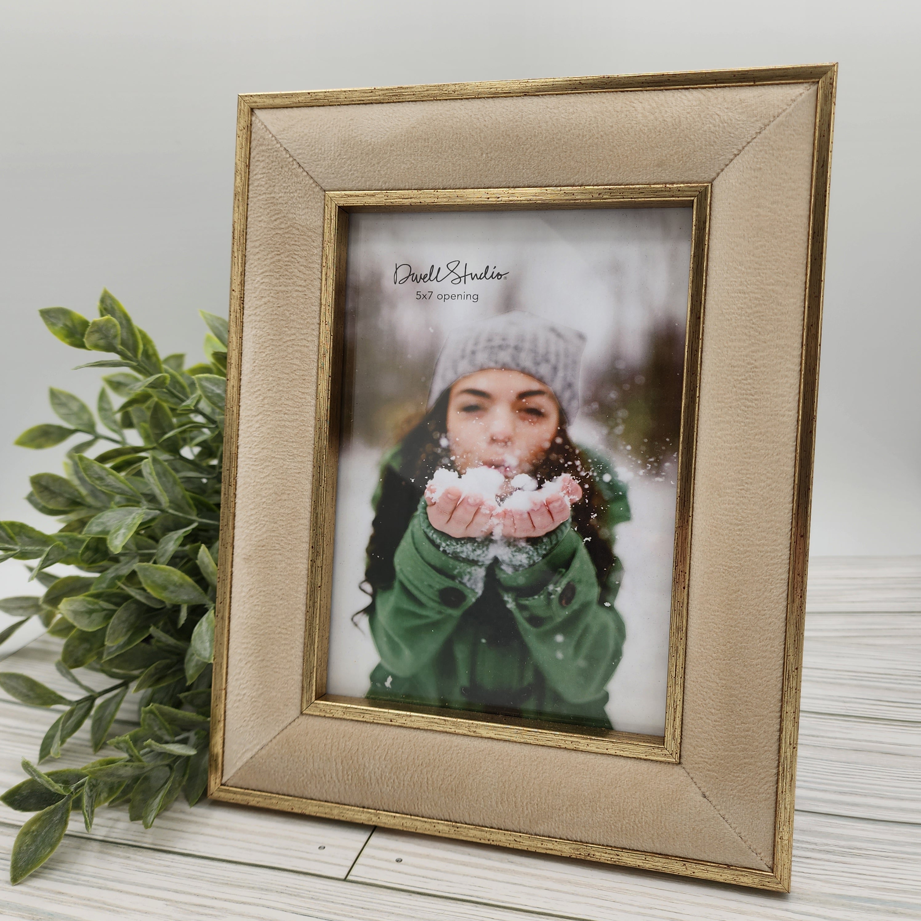 dwell studio velvet photo frame 5x7 beige with gold trim decorative picture frame