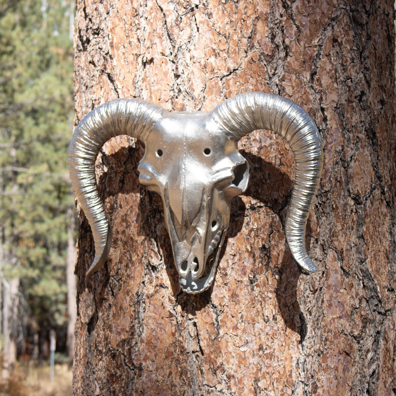 Metal Steer Skull Wall Decor
