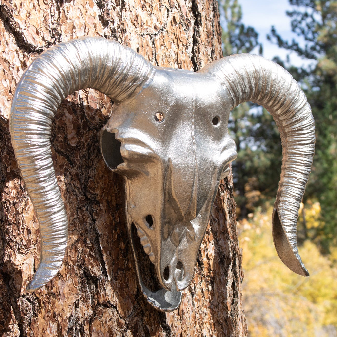 Metal Steer Skull Wall Decor