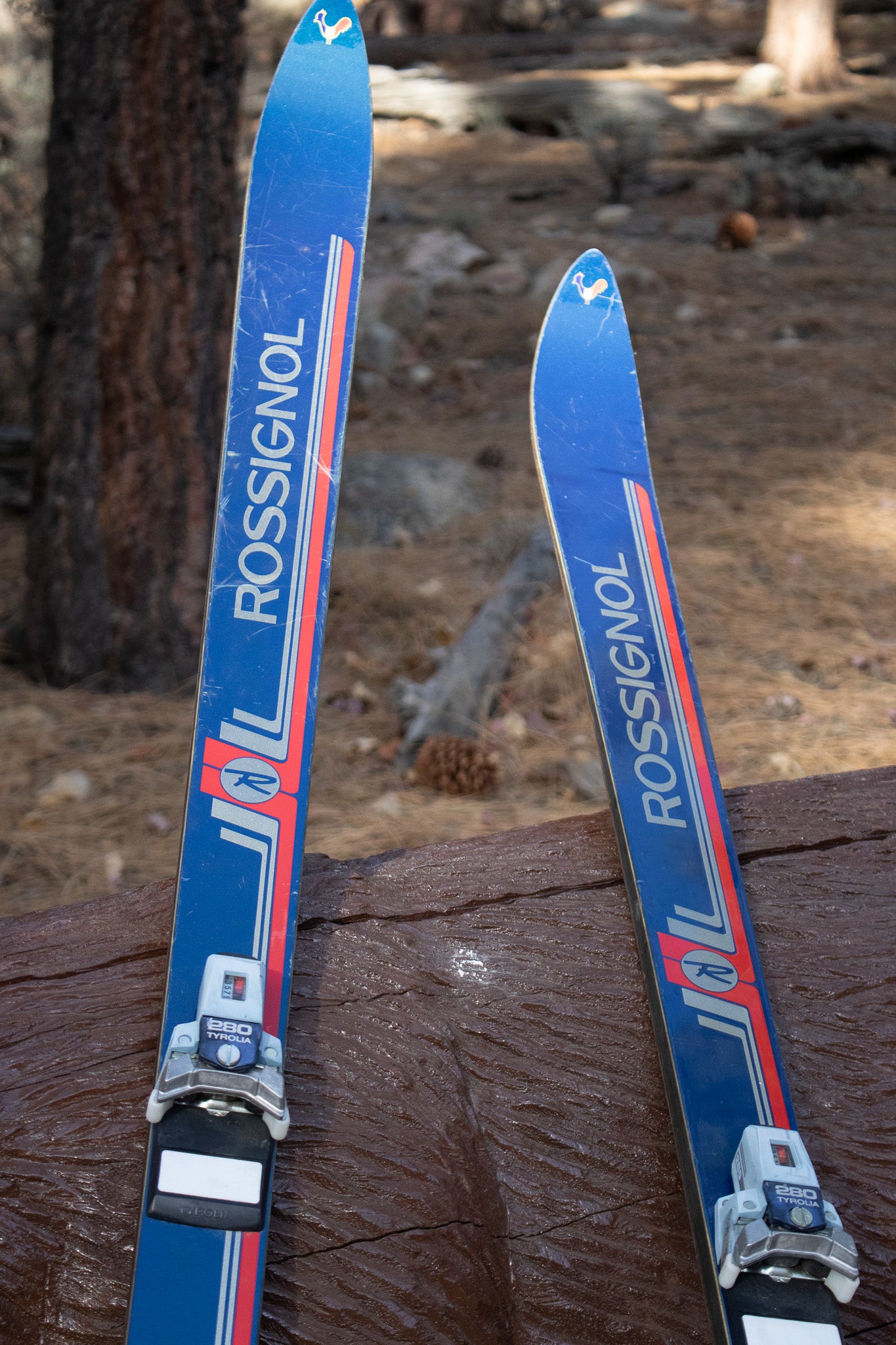 Rossignol Brand Skis SX944L With Tyrolia Bindings