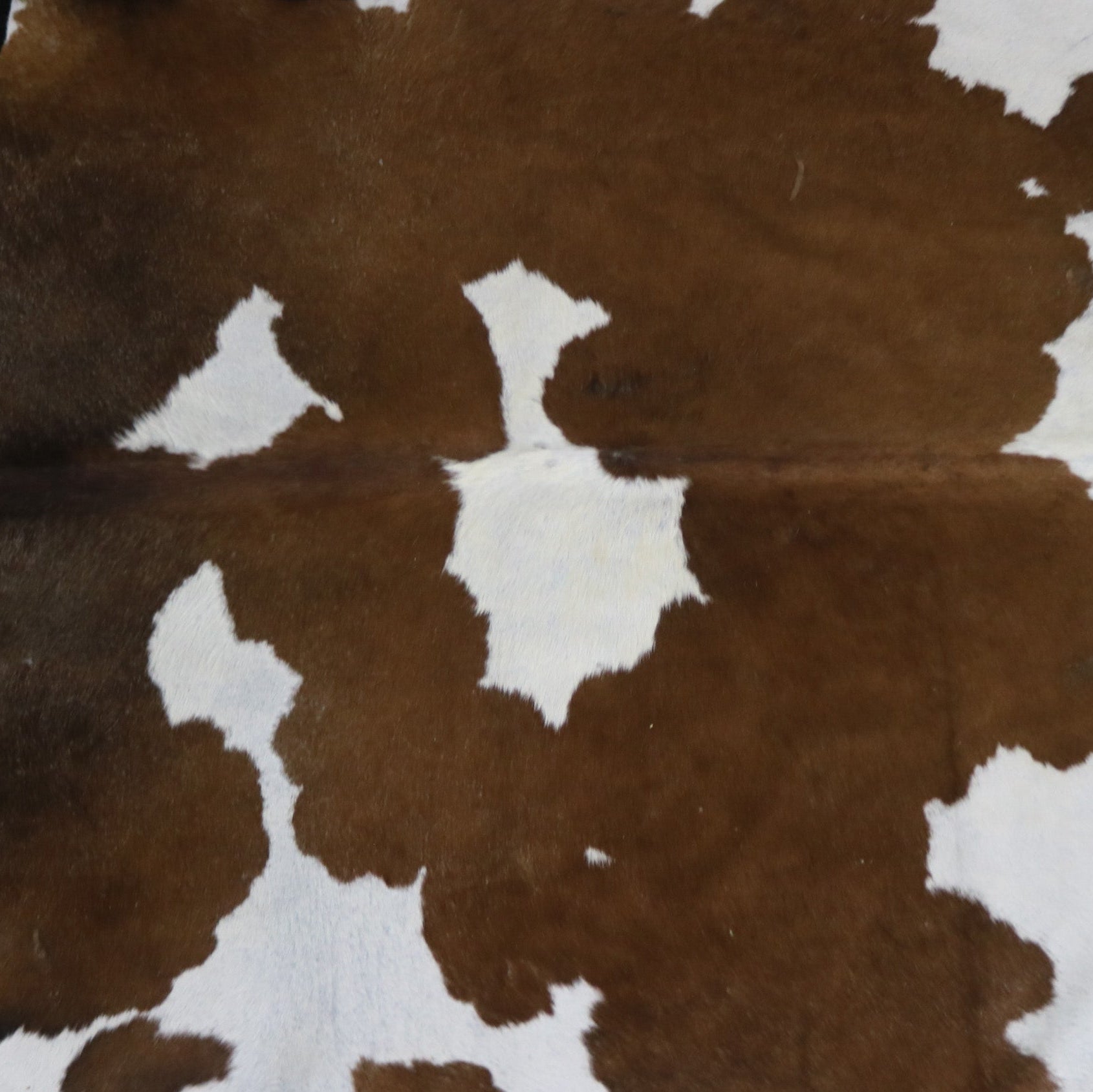 Fabulous Brown and White Cowhide Handcrafted in Brazil