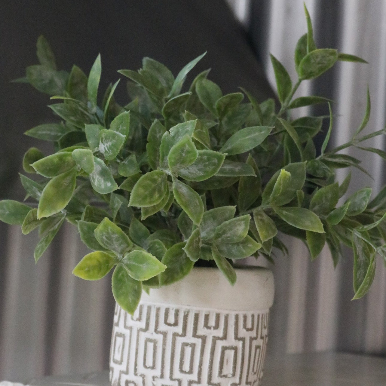 Faux Powder Tea Leaf in Geometric Design Square Pot