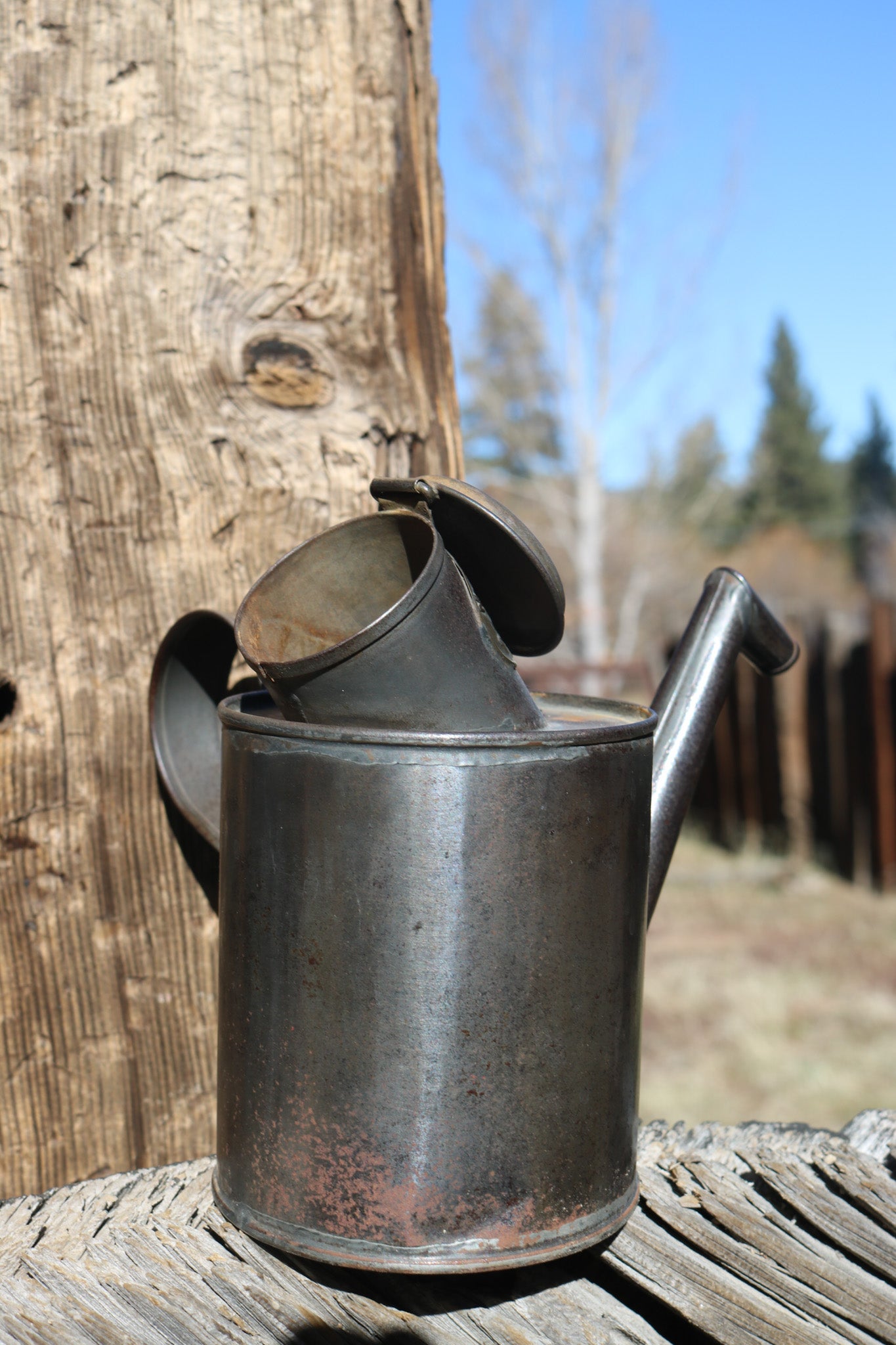 Antique Marriage Perfection Filler Can