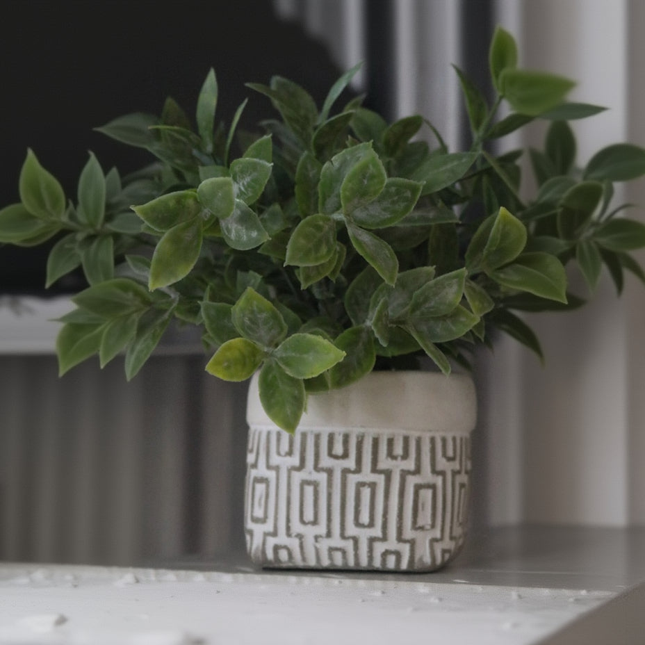 Faux Powder Tea Leaf in Geometric Design Square Pot