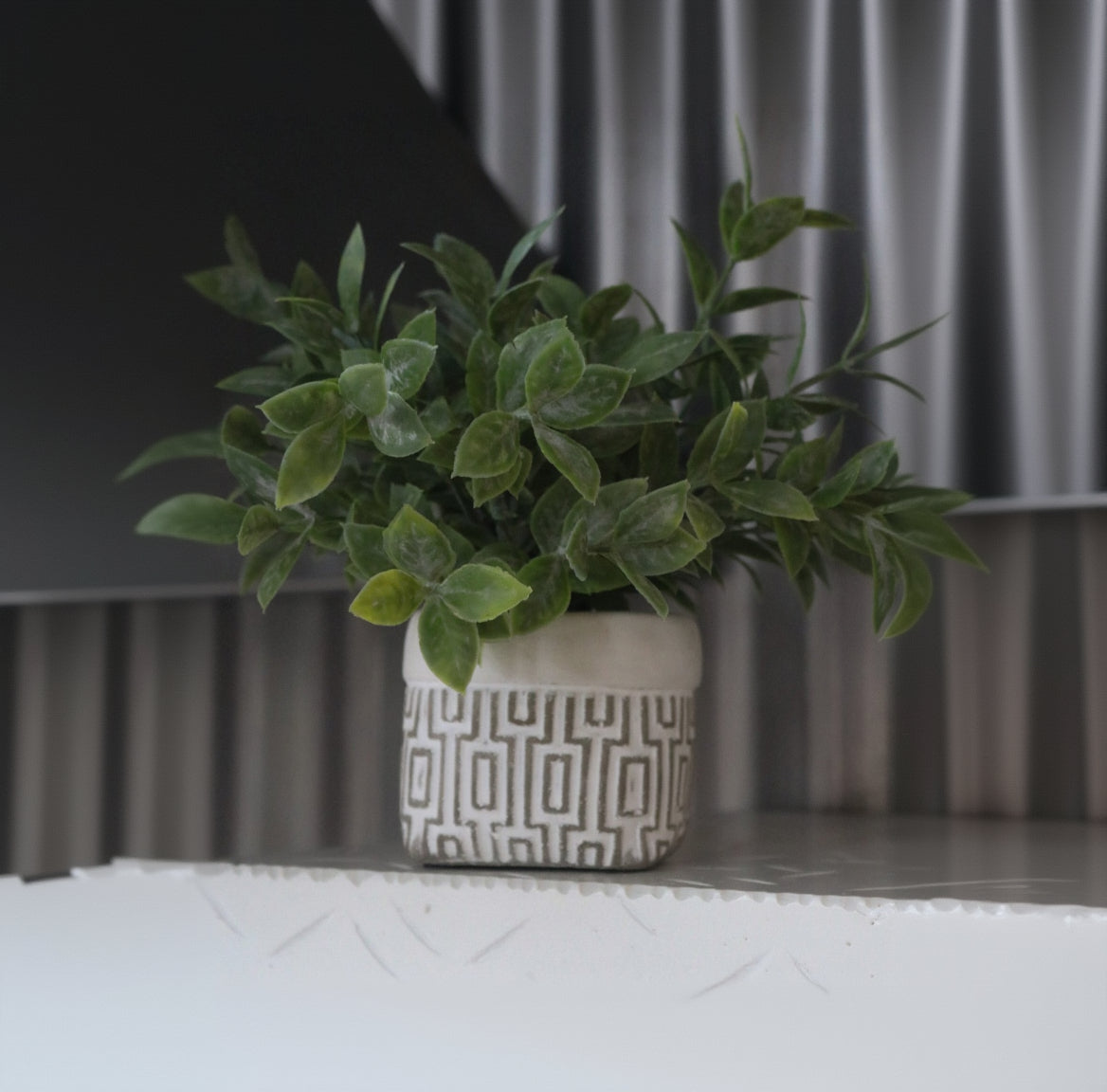 Faux Powder Tea Leaf in Geometric Design Square Pot