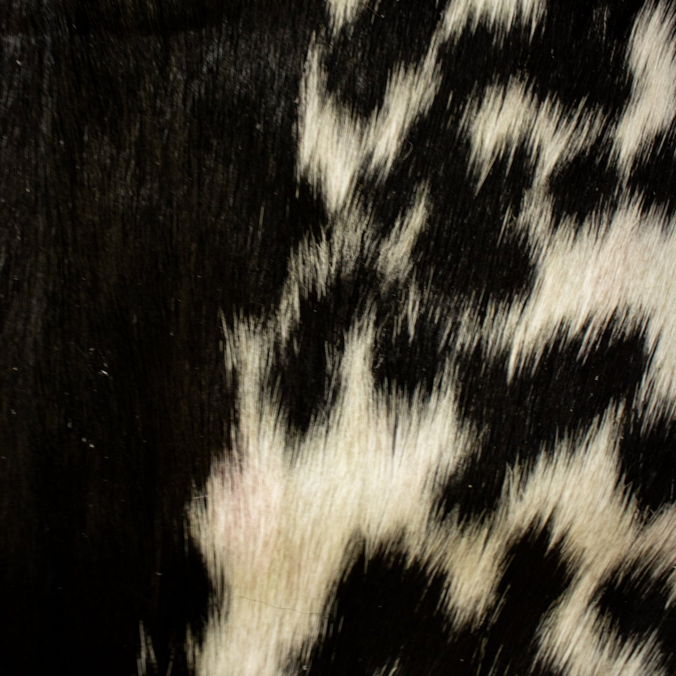 Handcrafted Black and White Goatskin Hide