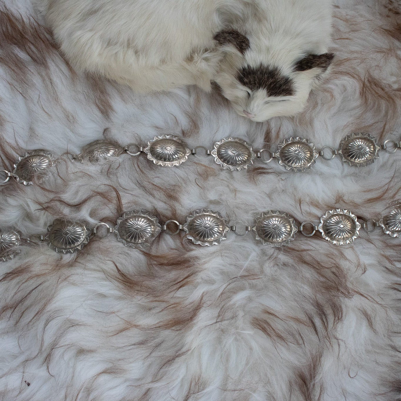 Silver Toned Linked Belt