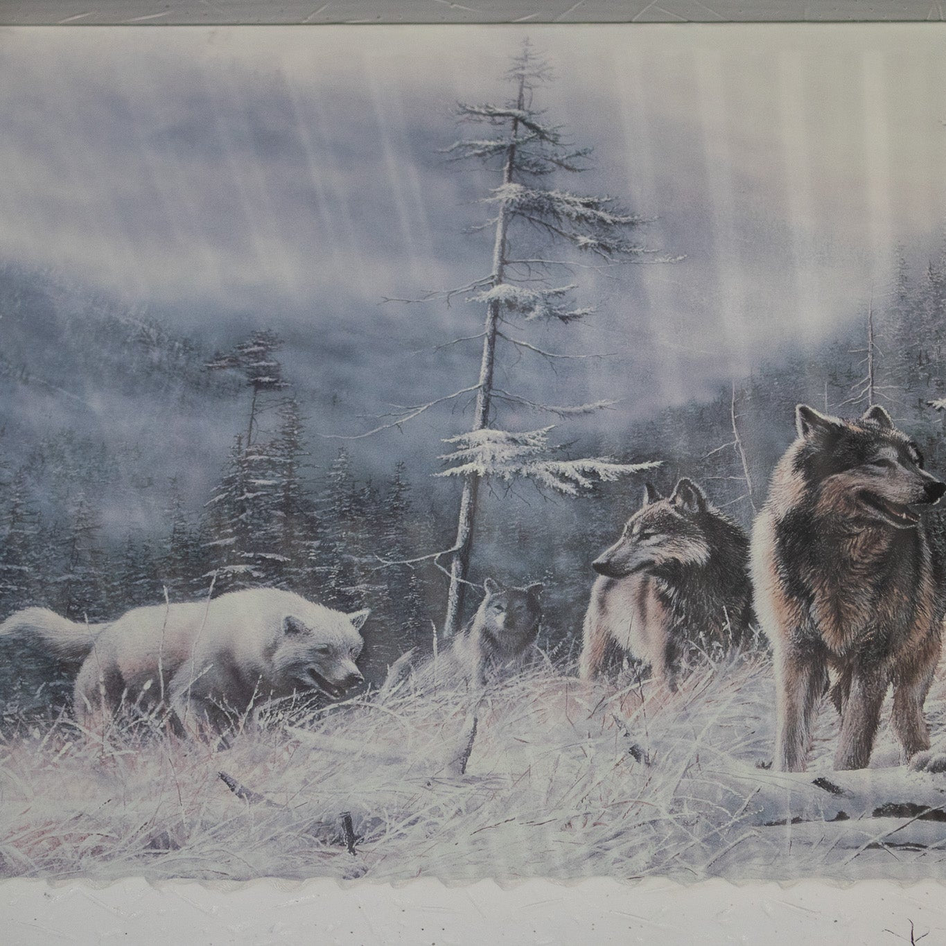 A Pack of Majestic Wolves Created by Kevin Daniel