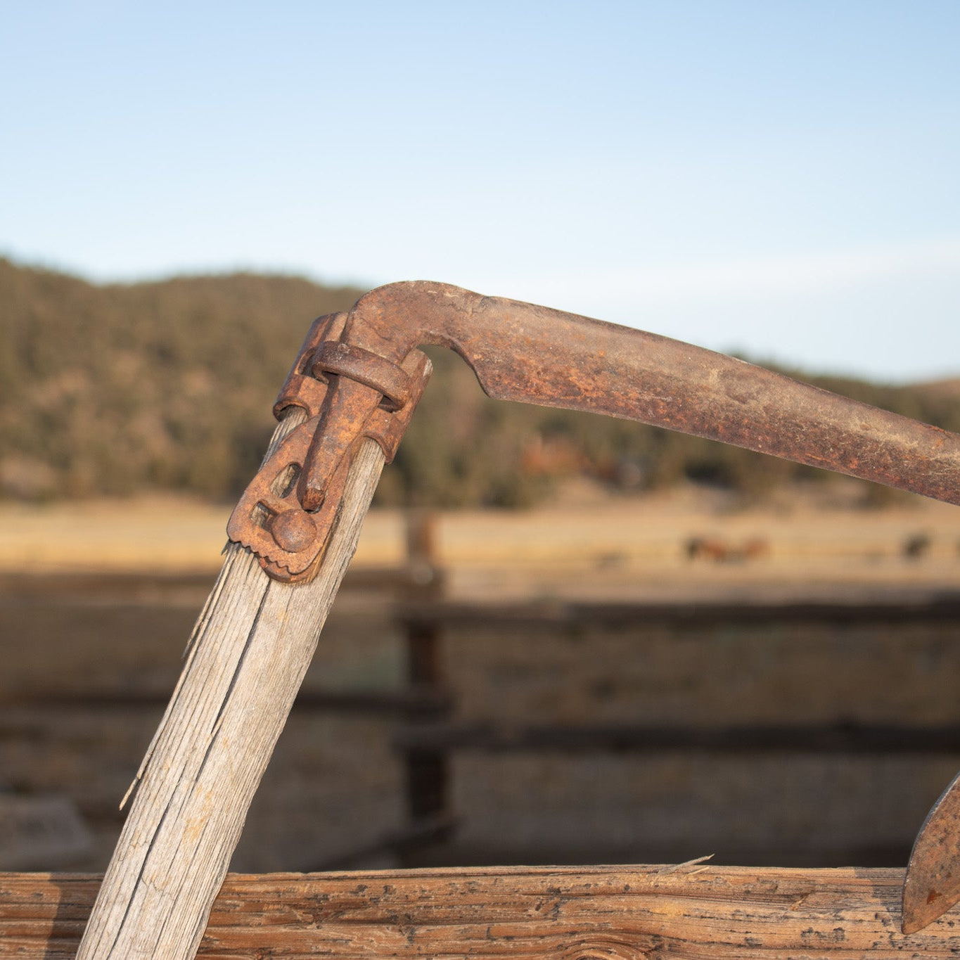 1900's Scythe Hay Sickle Farm Tool