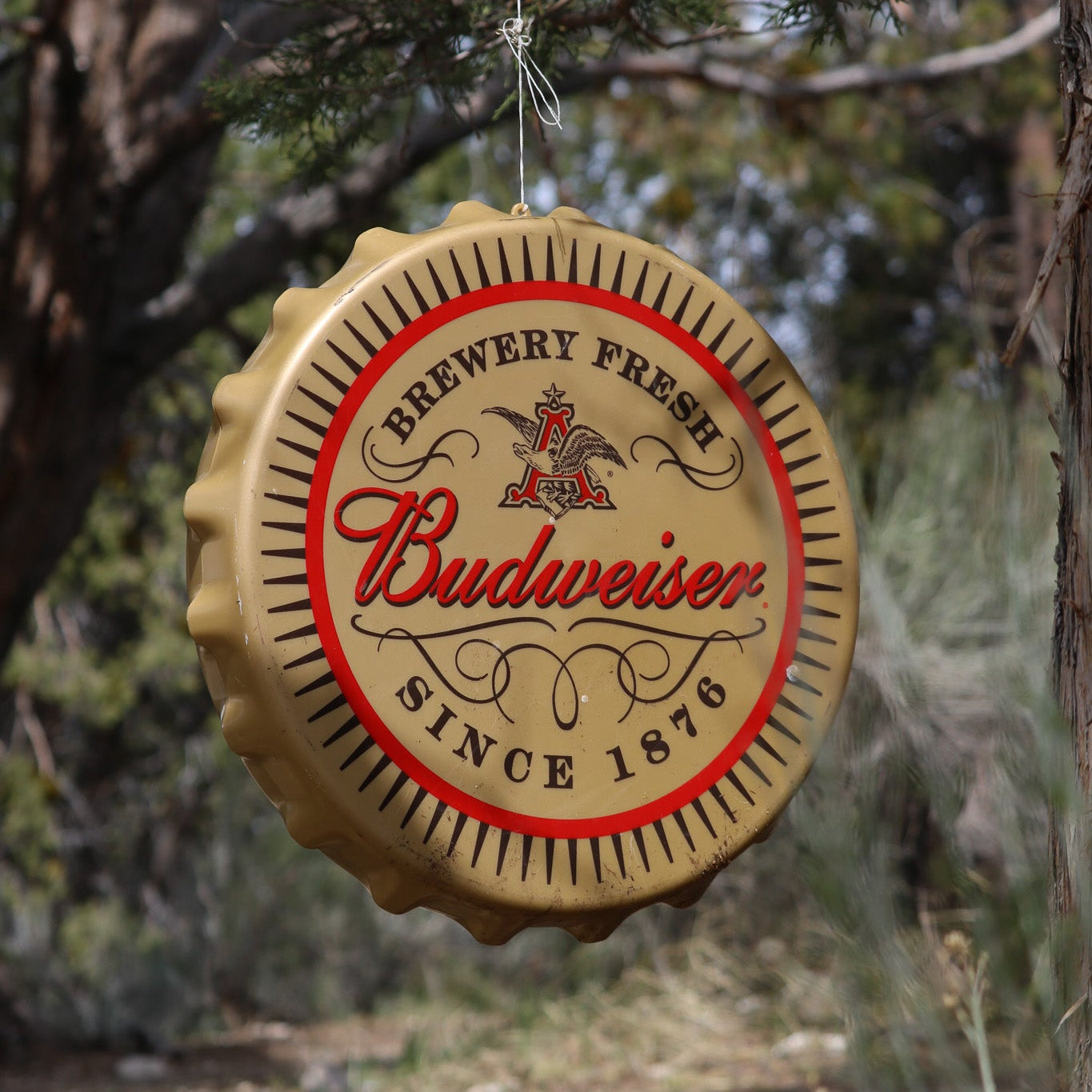 Budweiser Plastic 17" Round Advertisement Sign