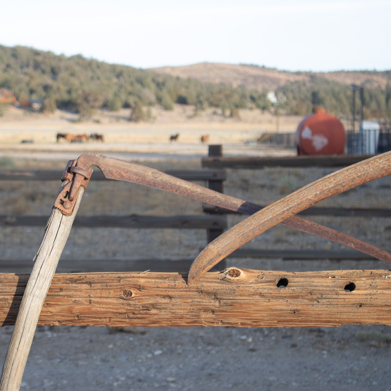 1900's Scythe Hay Sickle Farm Tool