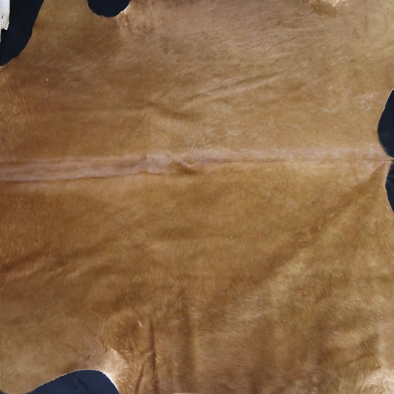 Vibrant Cinnamon Cowhide Handcrafted in Brazil