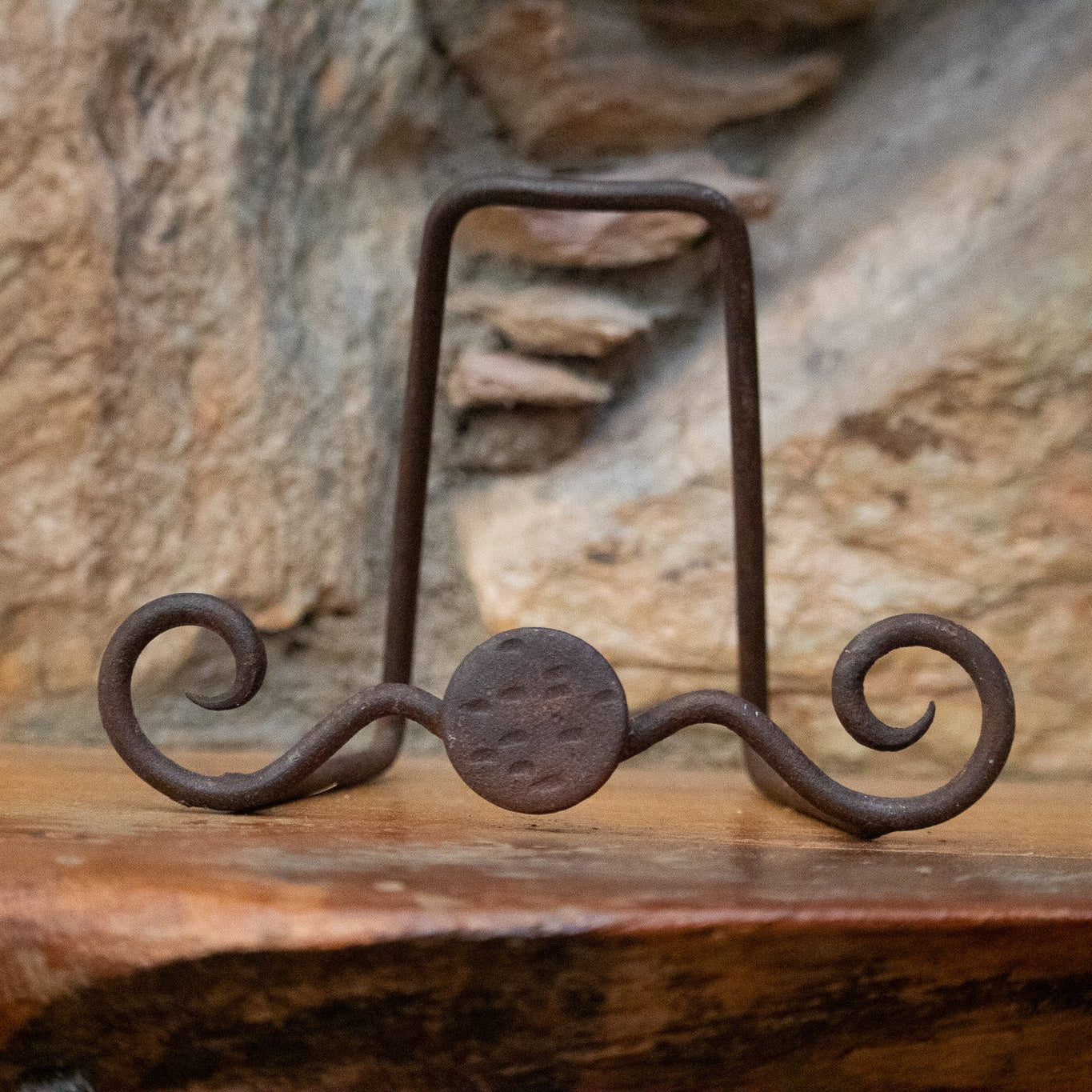 Metal Frame Picture Book Holder