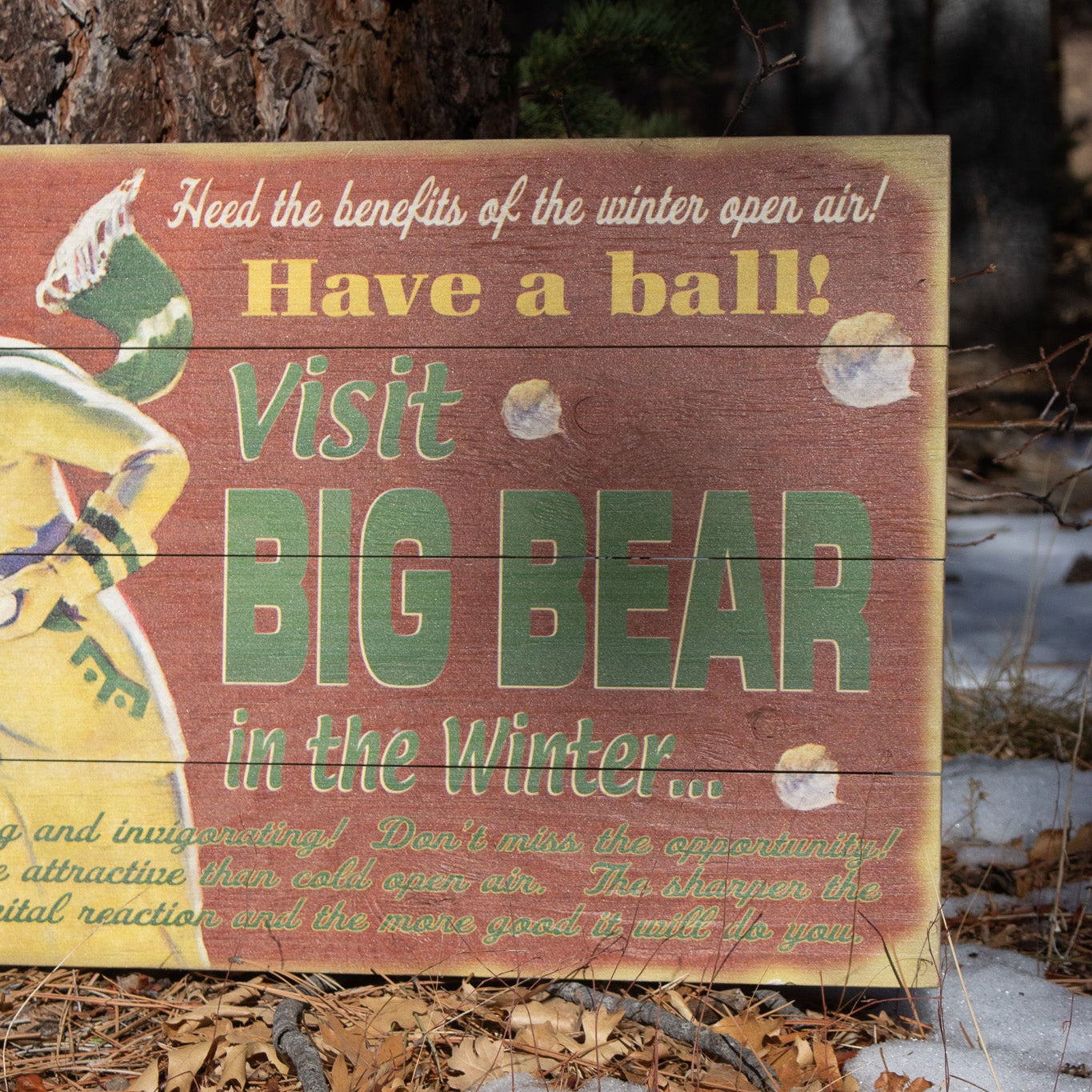 Big Bear Winter Adventure ''Have a Ball!'' Decorative Wooden Hand Painted Sign