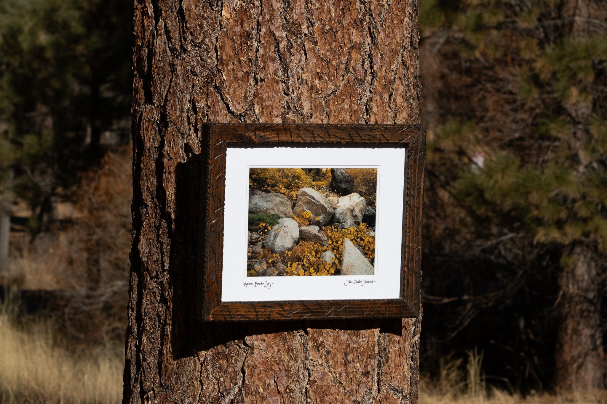 Original Picture taken by John Charles Hummel "Autumn Boulder Bay" Location Big Bear Lake California September 10, 2009