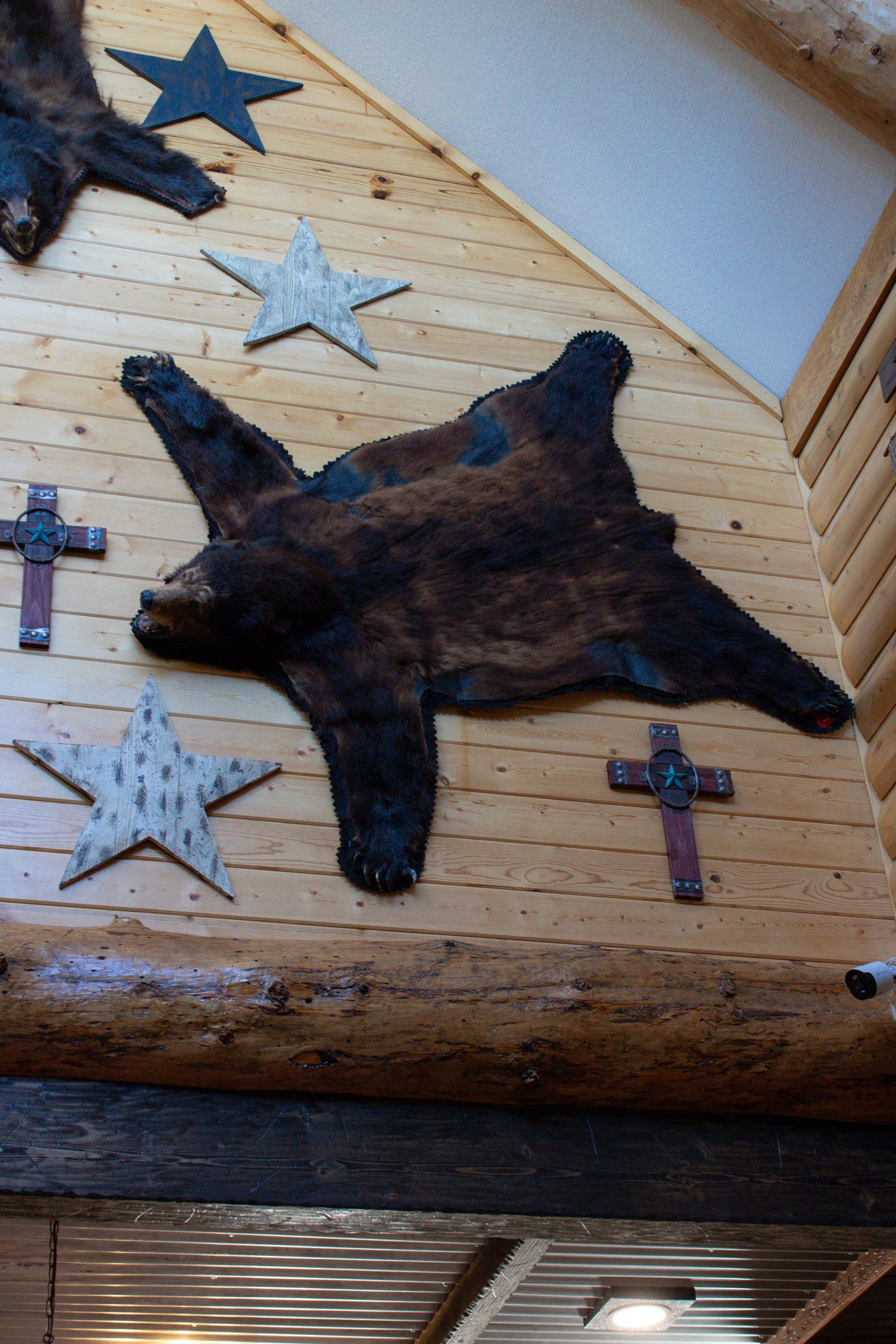 Genuine Black Bear Rug Skin