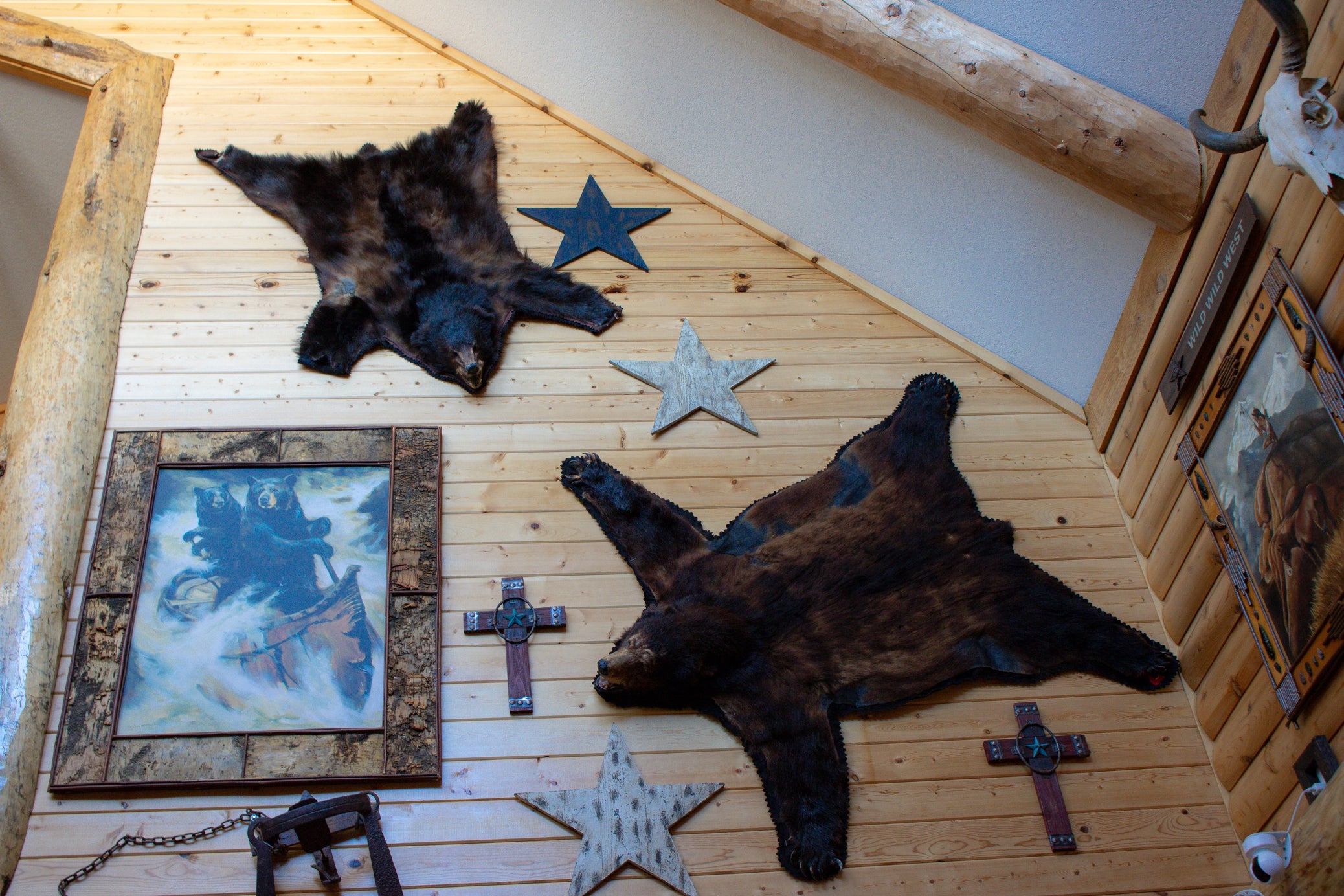 Genuine Black Bear Rug Skin