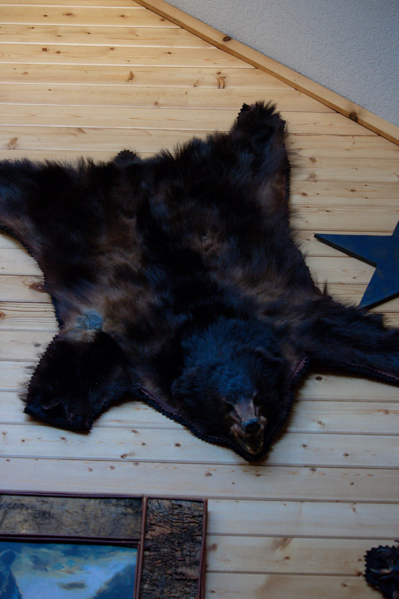 Classic Black Bear Skin Rug- CANNOT SELLL