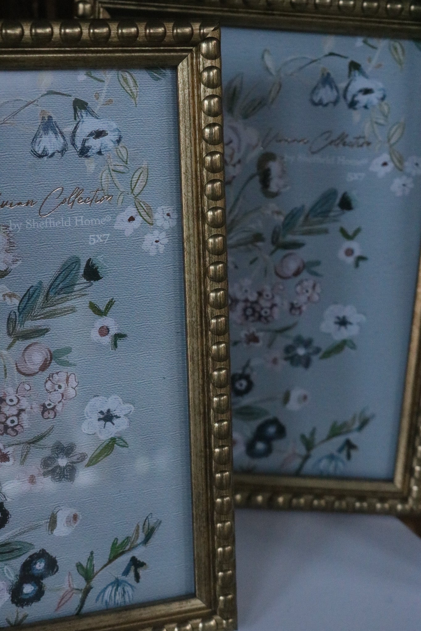 Sheffield Home Vivian Collection Picture Frame