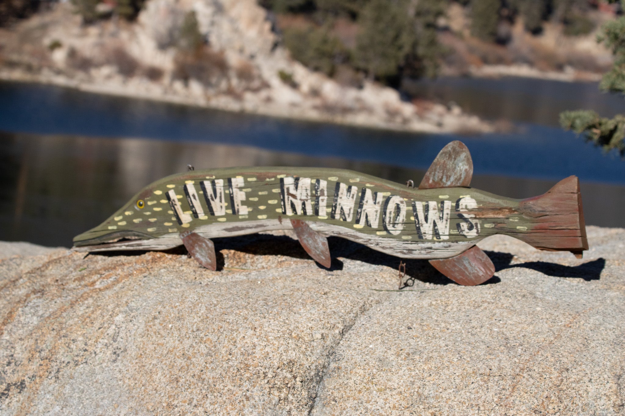 "Live Minnows" Hand Painted Wooded Sign
