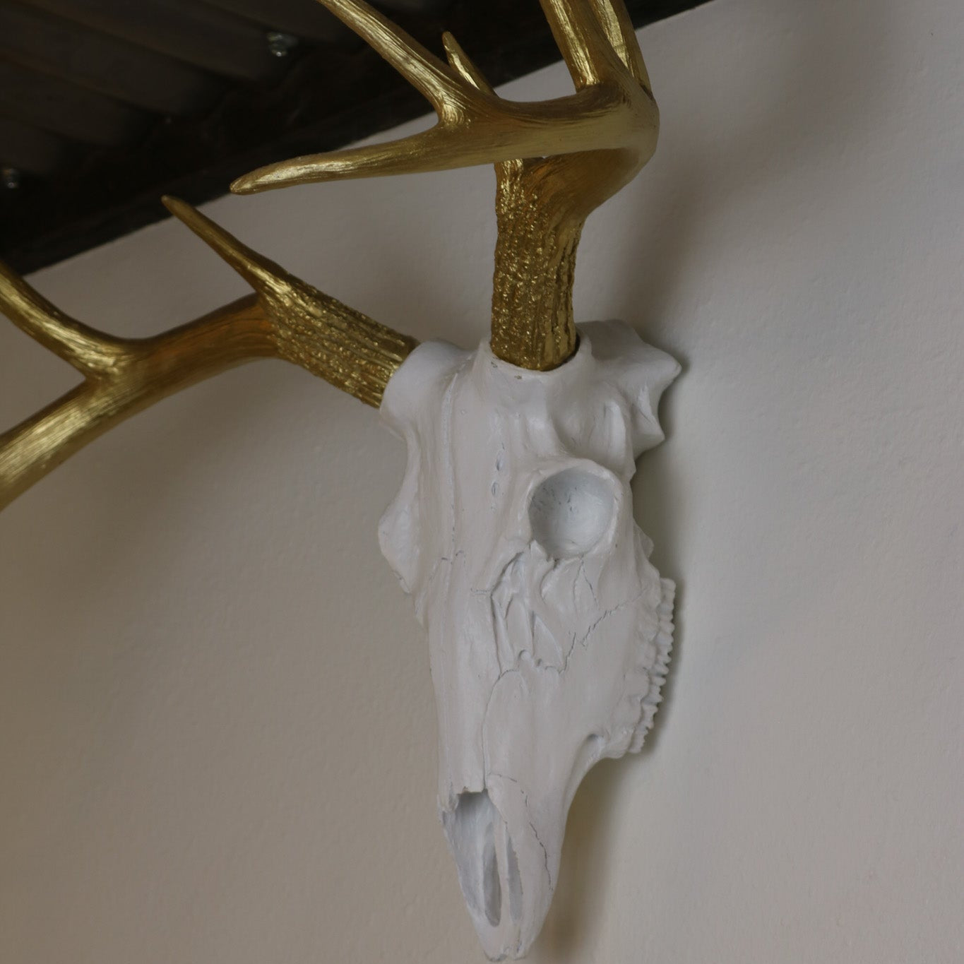 Wall Décor Gold-Antlered Resin Deer Skull
