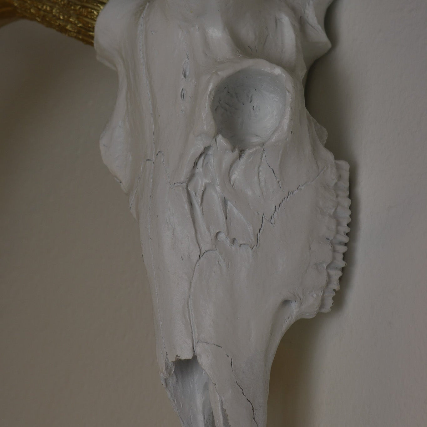 Wall Décor Gold-Antlered Resin Deer Skull